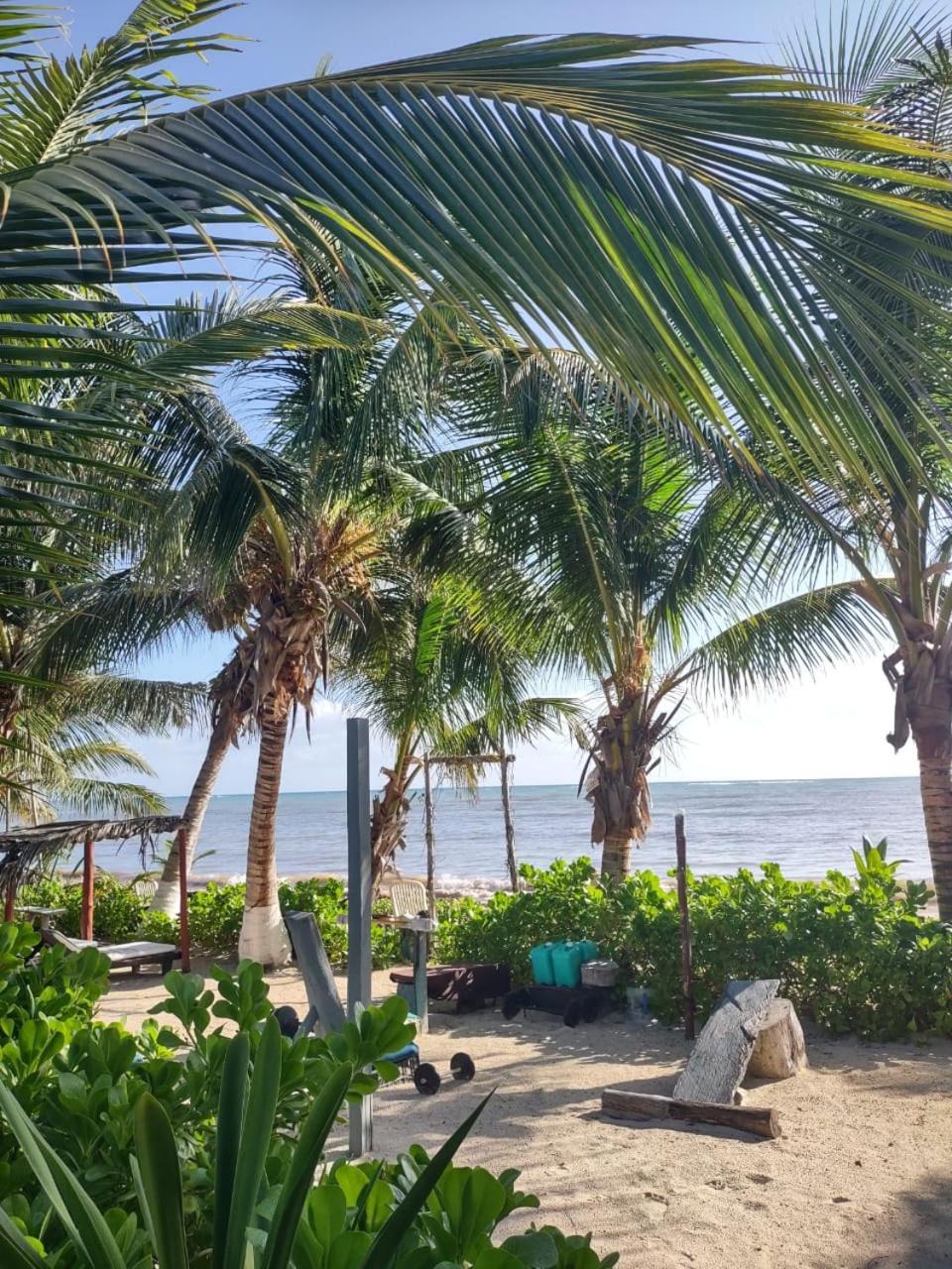 Lunazul Eco-cabana Frente Al Mar Mahahual