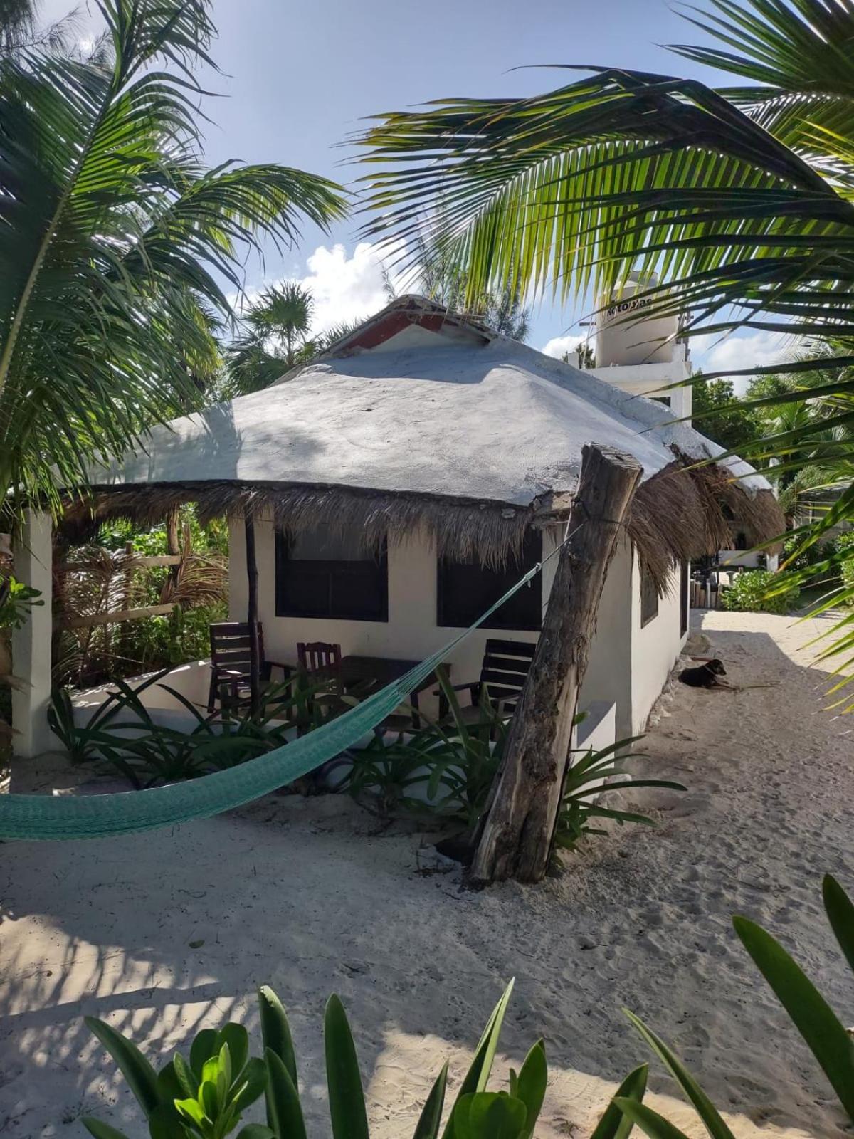 Lunazul Eco-cabana Frente Al Mar Mahahual