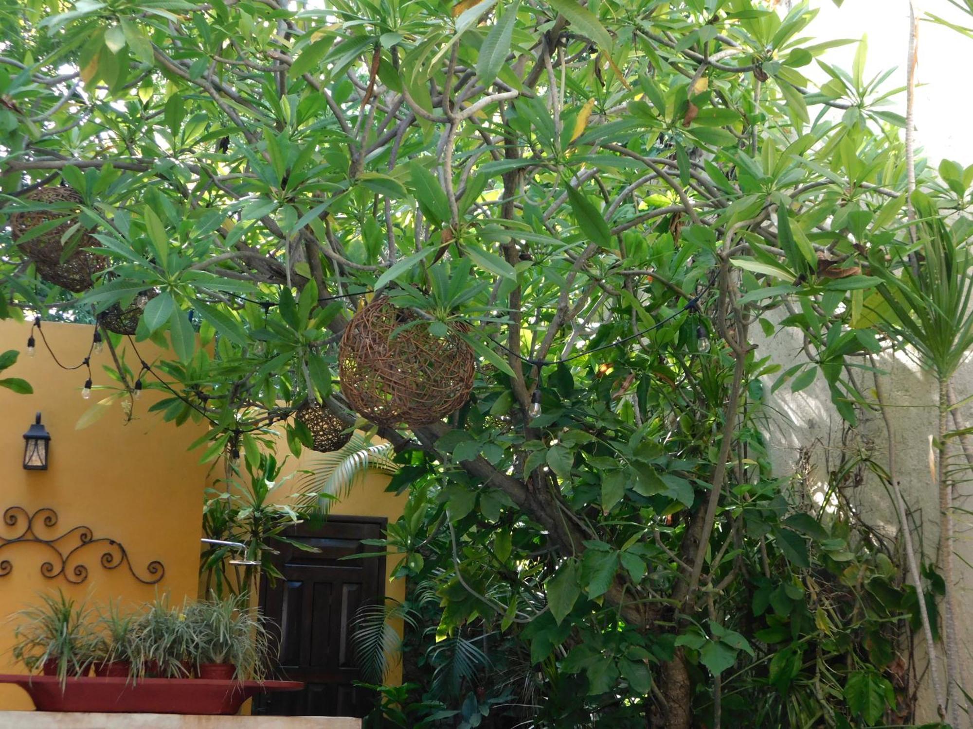 Boutique Casa Flor De Mayo Merida