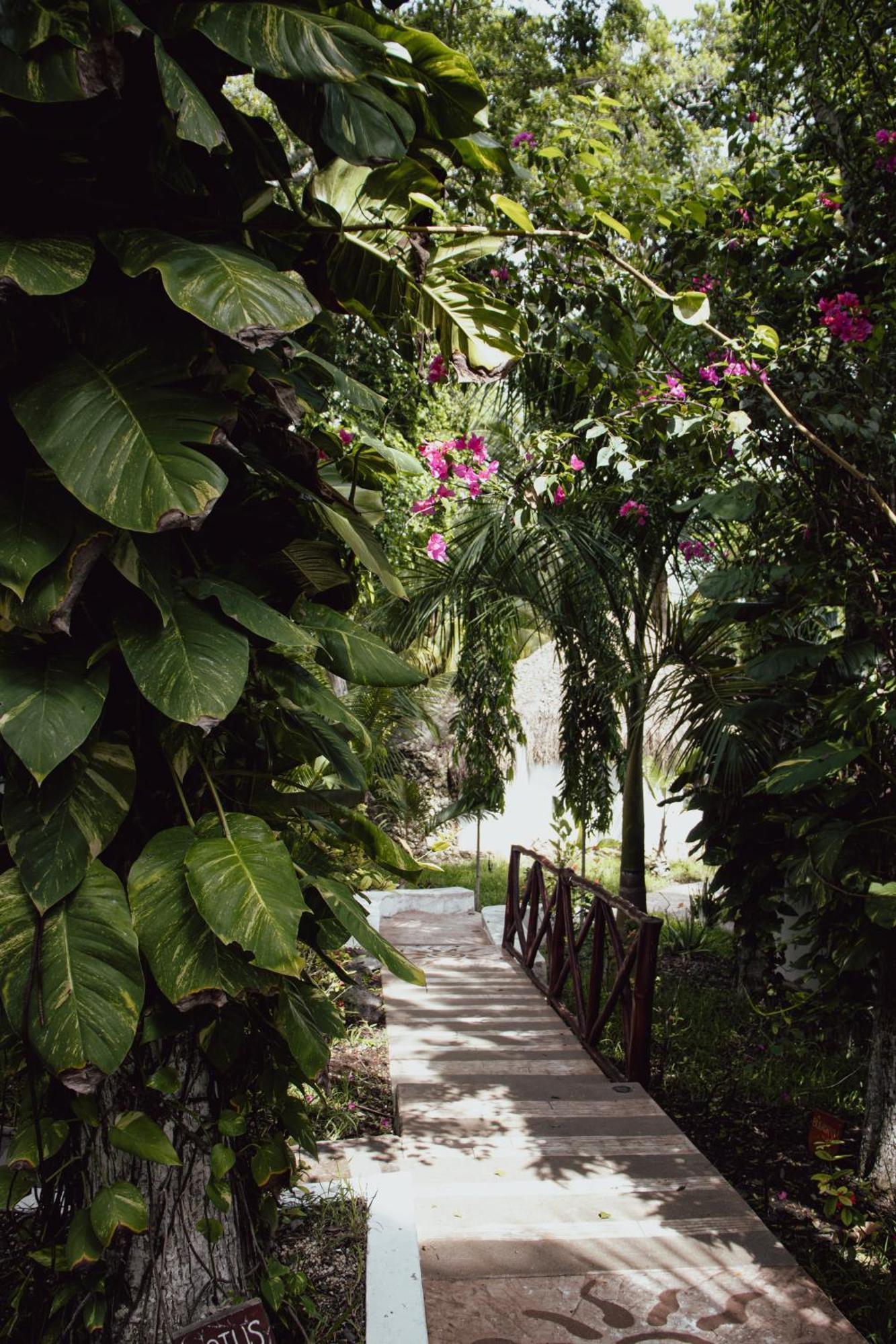 Boutique Aurea Hotel Bacalar