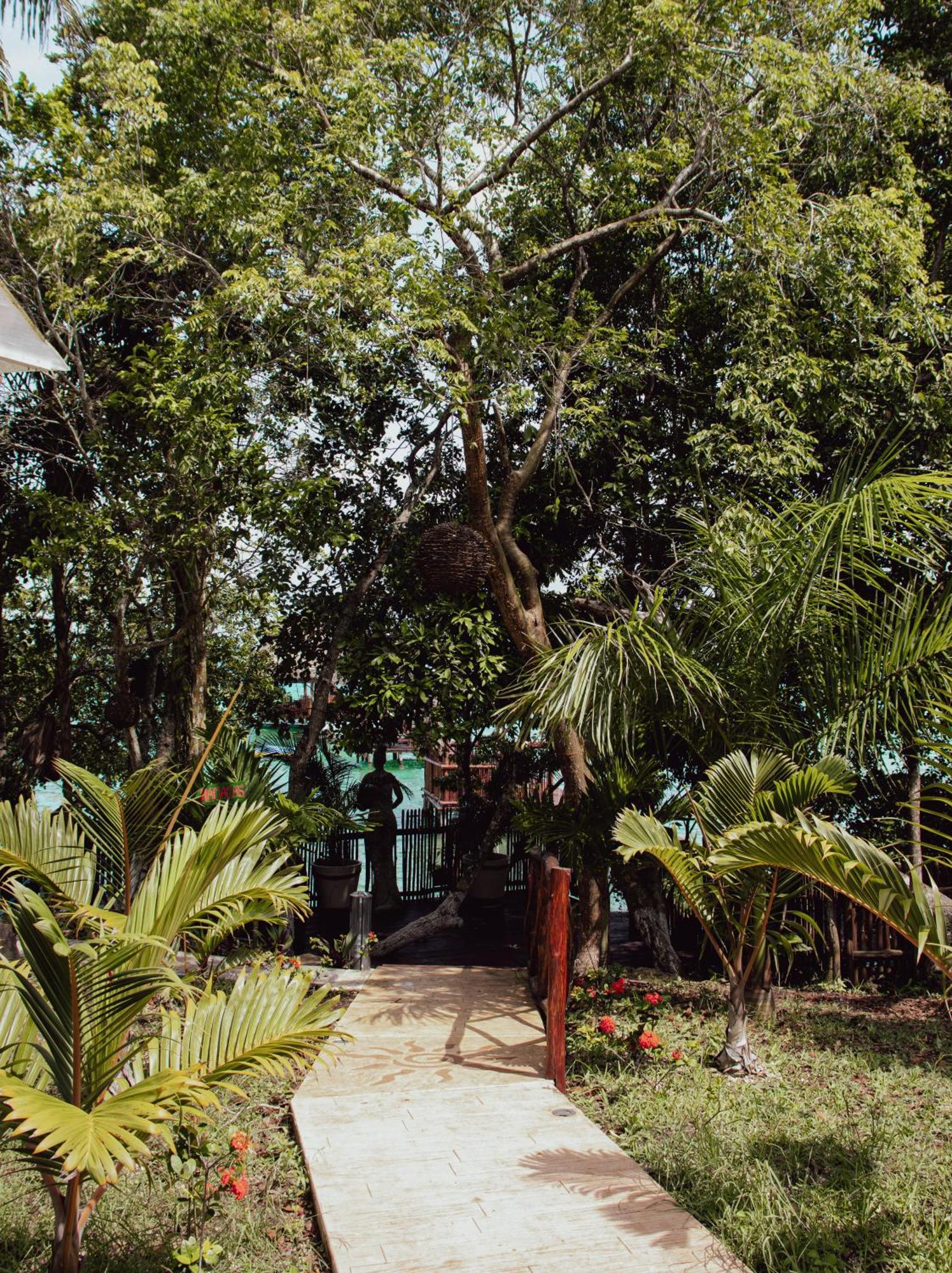 Hotel Boutique Aurea Bacalar