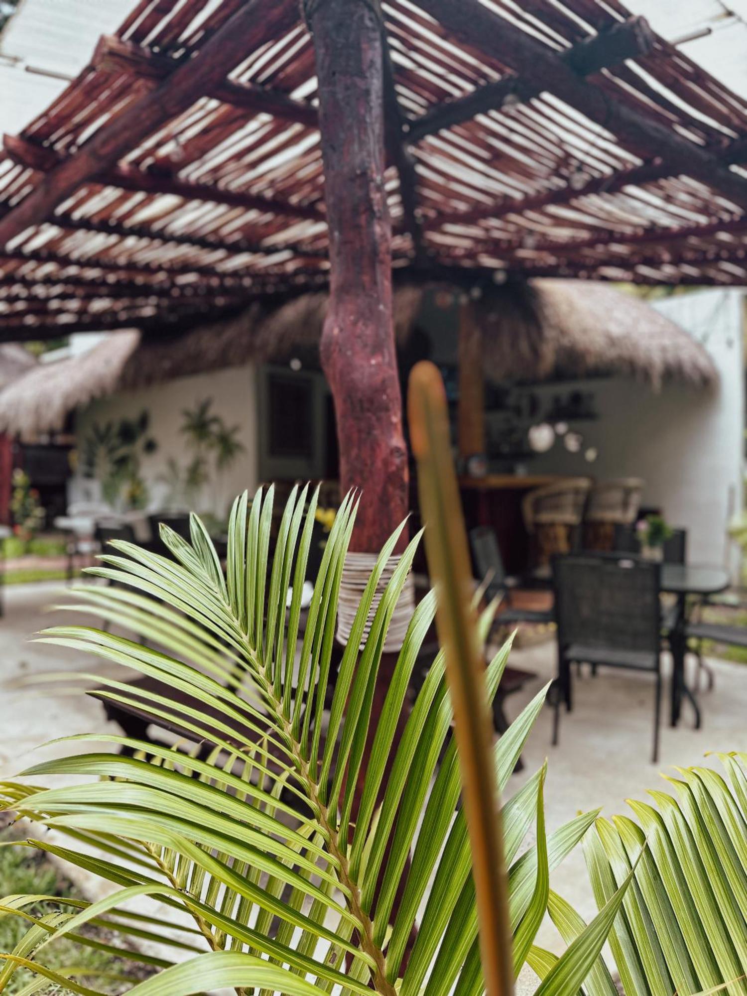Boutique Aurea Bacalar