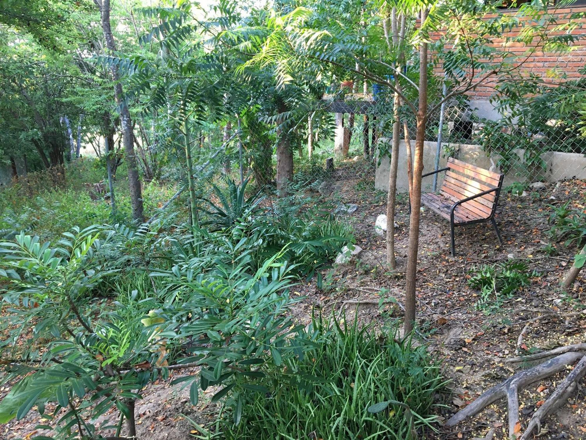Centro Sati Apartment Cuatunalco