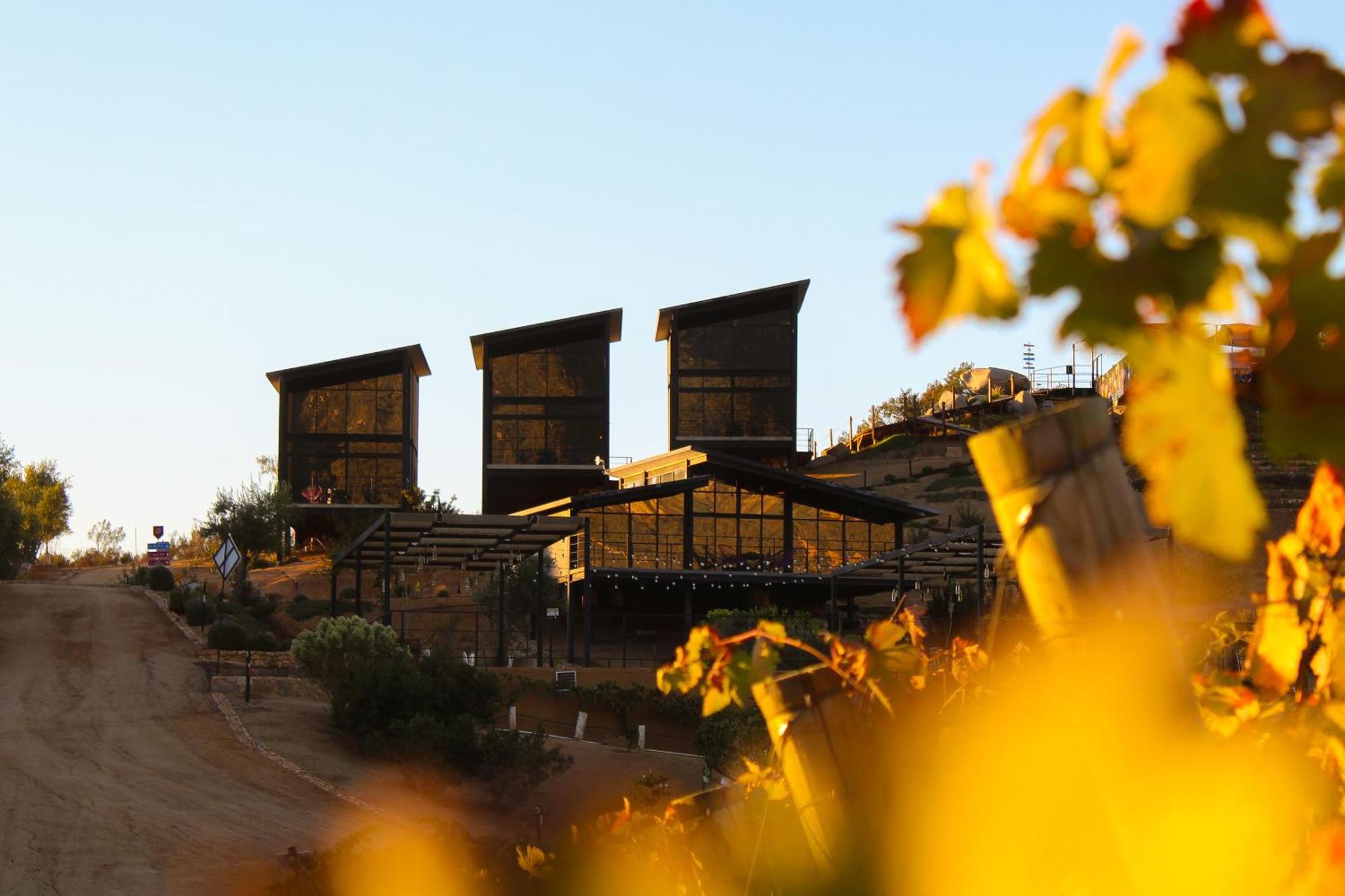 Origen75 Loft - - Skypool - Vinedo, Hotel Valle de Guadalupe