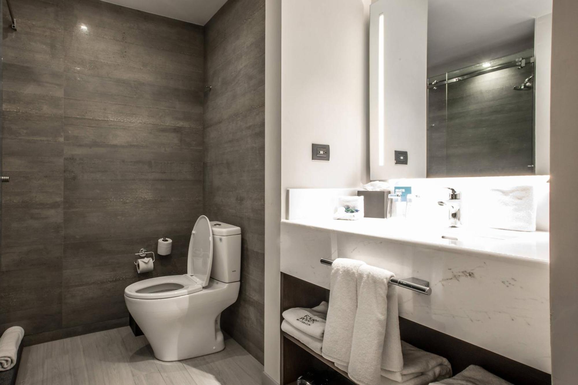 Hotel Four Points By Sheraton 4*