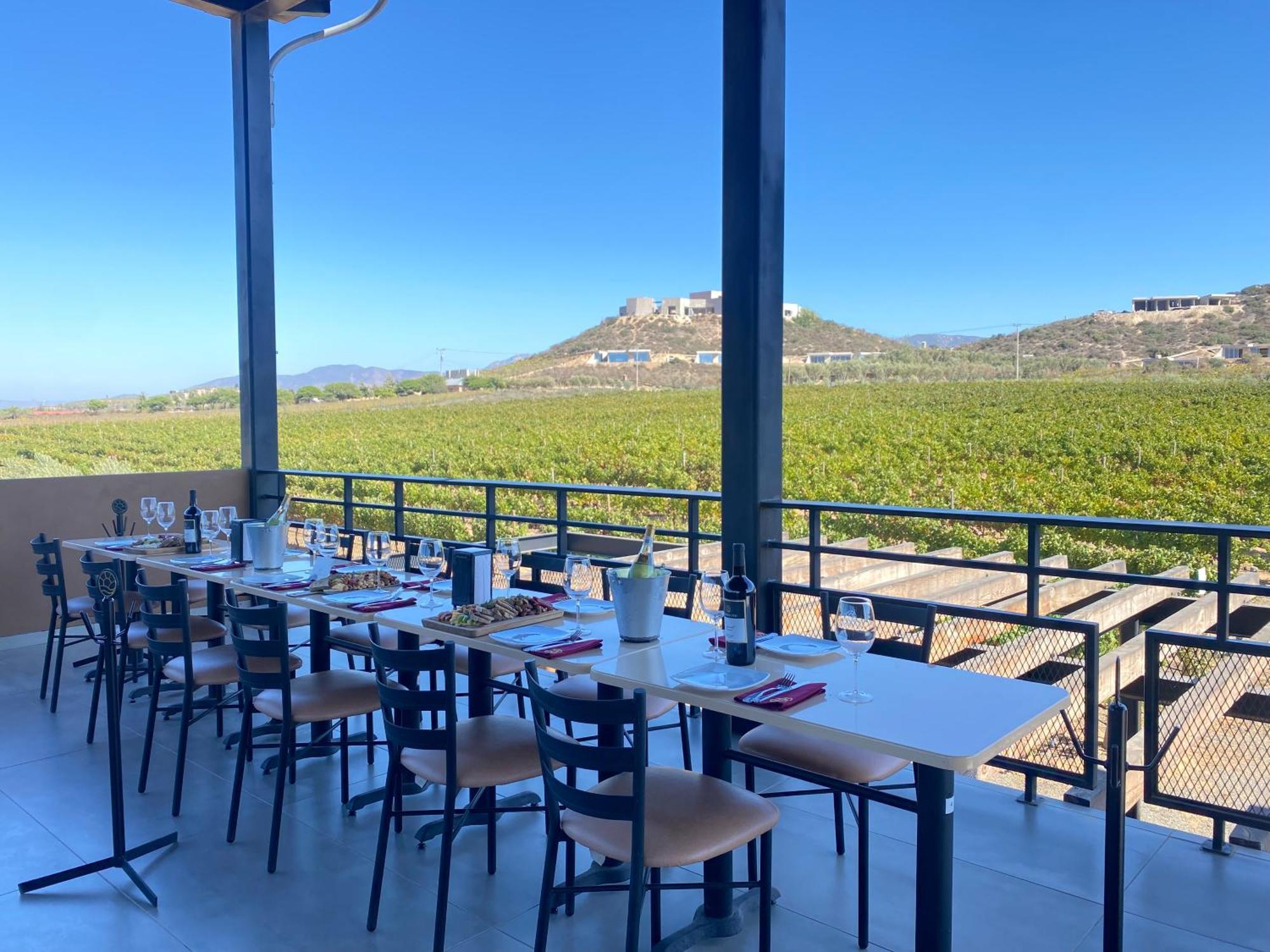 Xaroma * Valle de Guadalupe