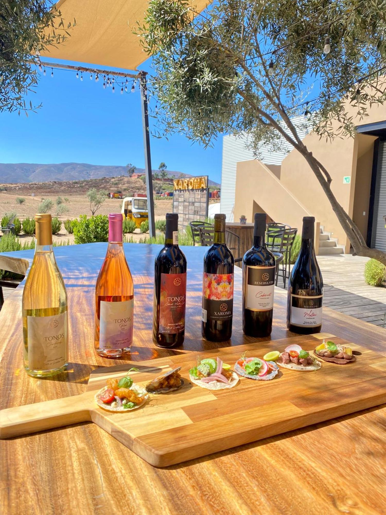 Xaroma Hotel Valle de Guadalupe