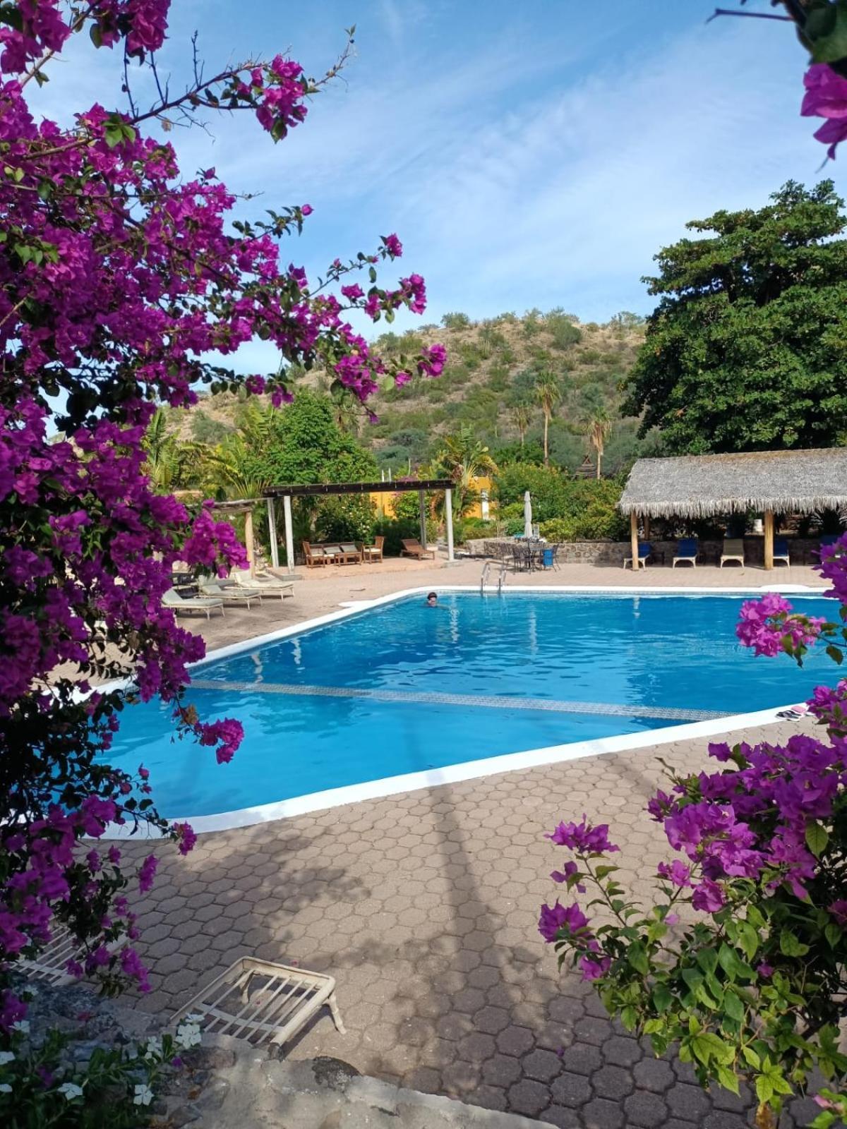 Hotel Tripui Puerto Escondido (Baja California Sur)
