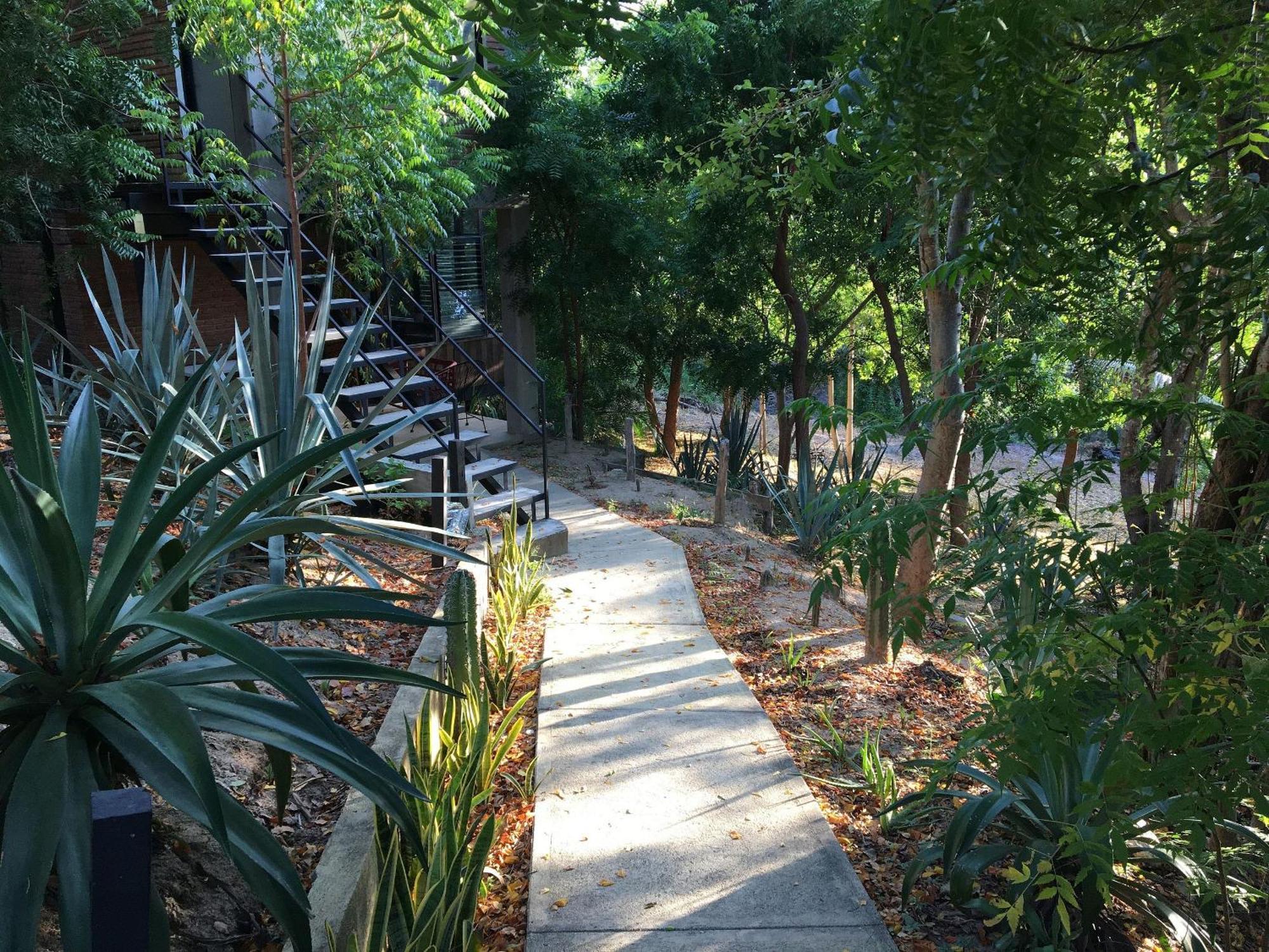 Centro Sati Cuatunalco