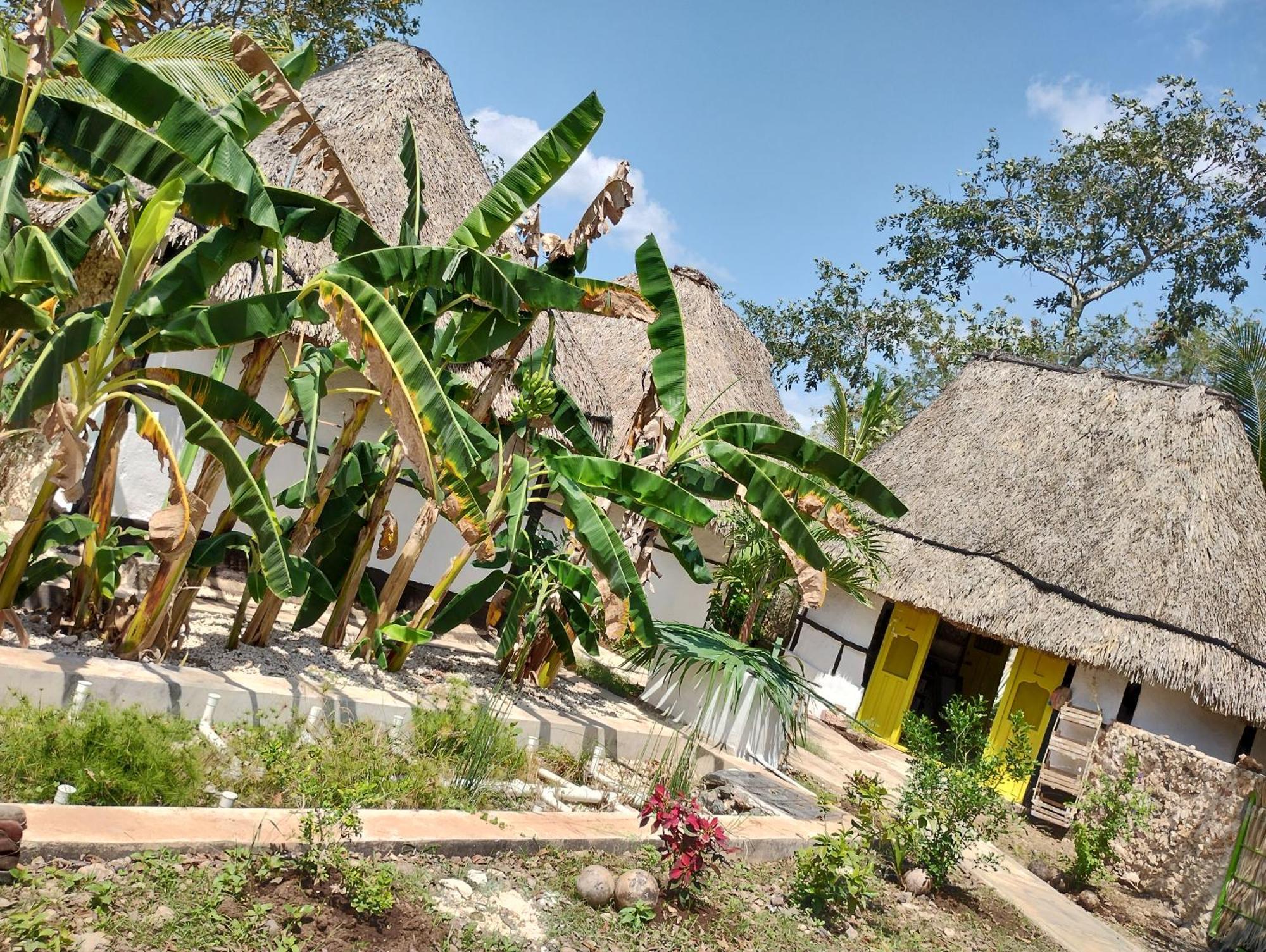 Y Museo Aldea Maya Toktli Origenes - Village, Alberca, Wifi Starlink, Tour Museo Hotel