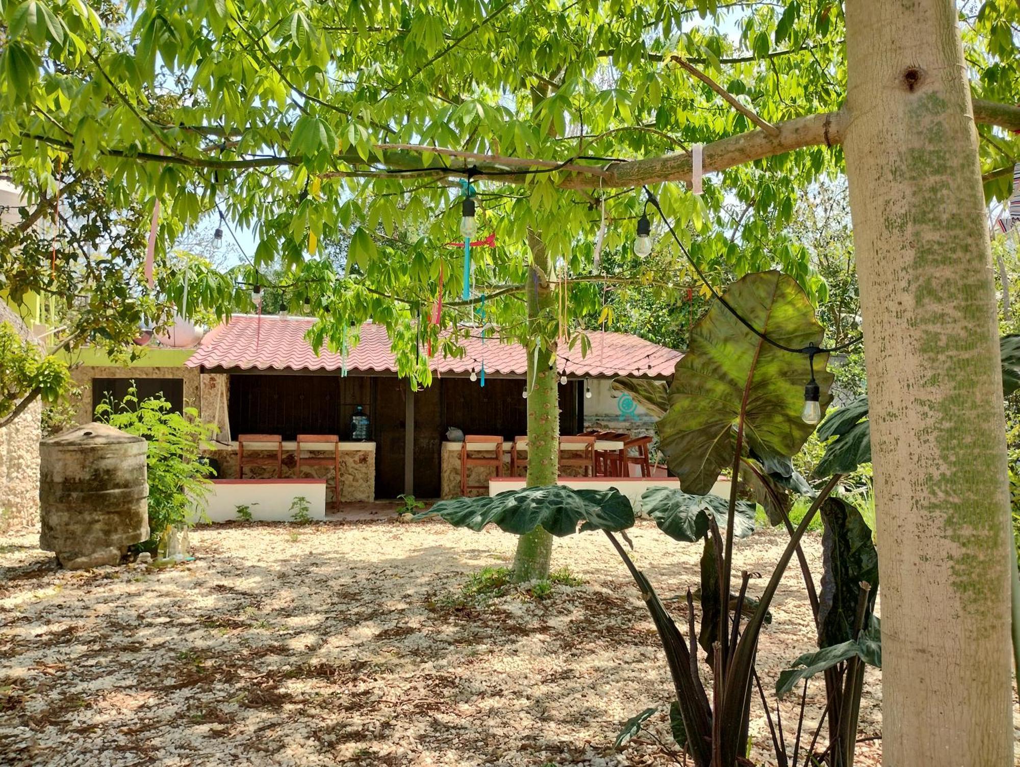 Hotel Y Museo Aldea Maya Toktli Origenes - Village, Alberca, Wifi Starlink, Tour Museo *