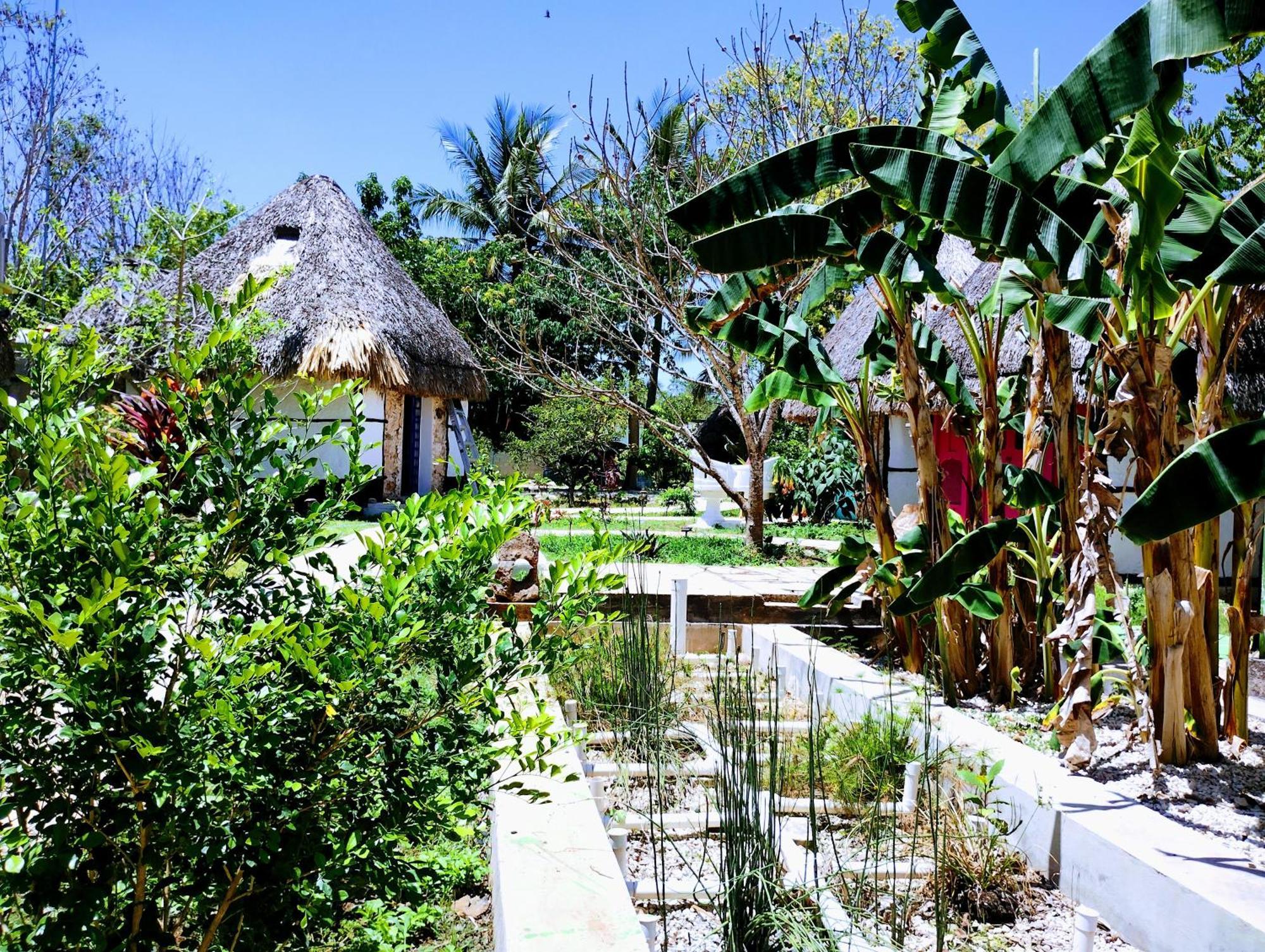 Hotel Y Museo Aldea Maya Toktli Origenes - Village, Alberca, Wifi Starlink, Tour Museo