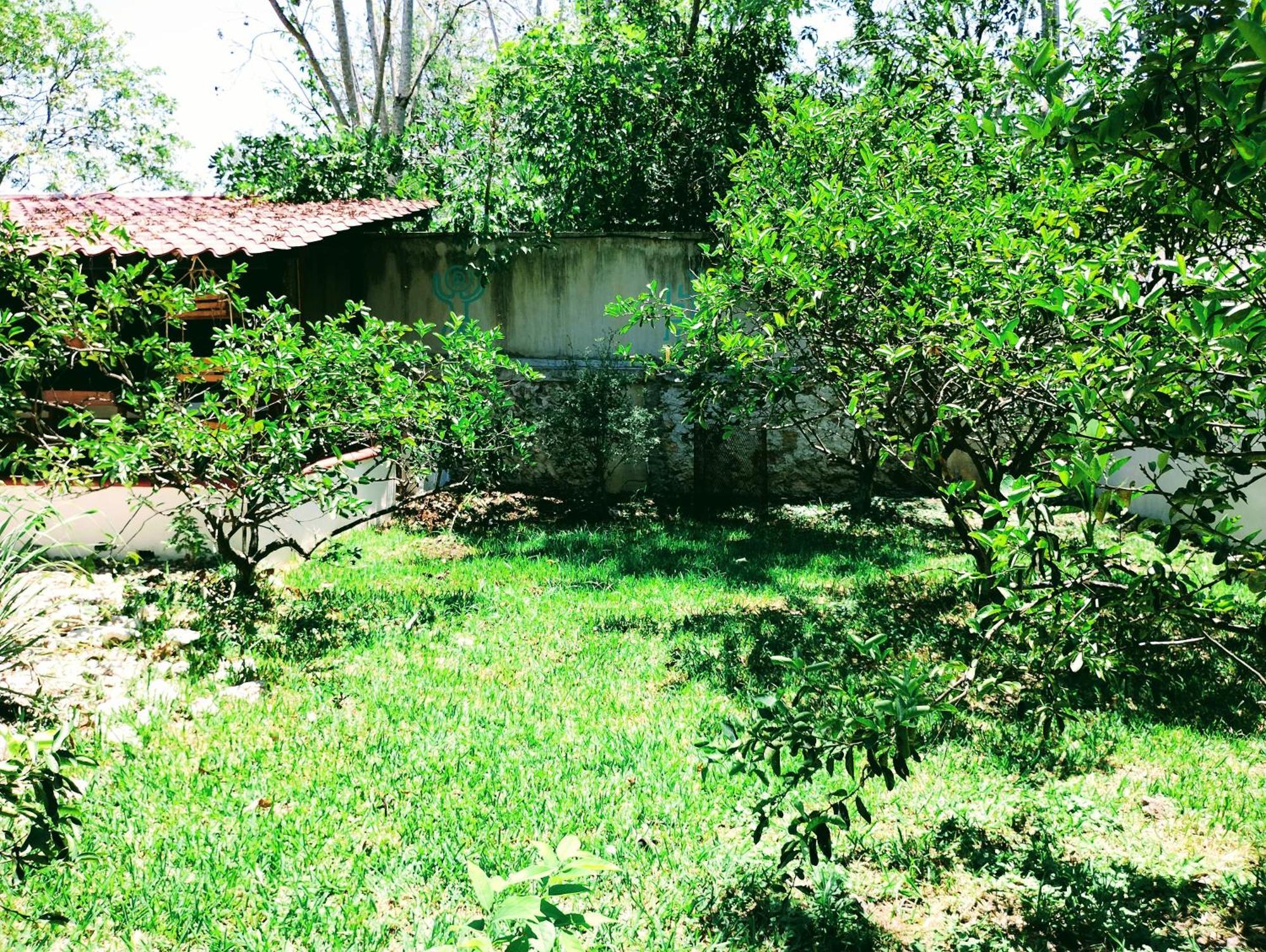 Y Museo Aldea Maya Toktli Origenes - Village, Alberca, Wifi Starlink, Tour Museo Izamal