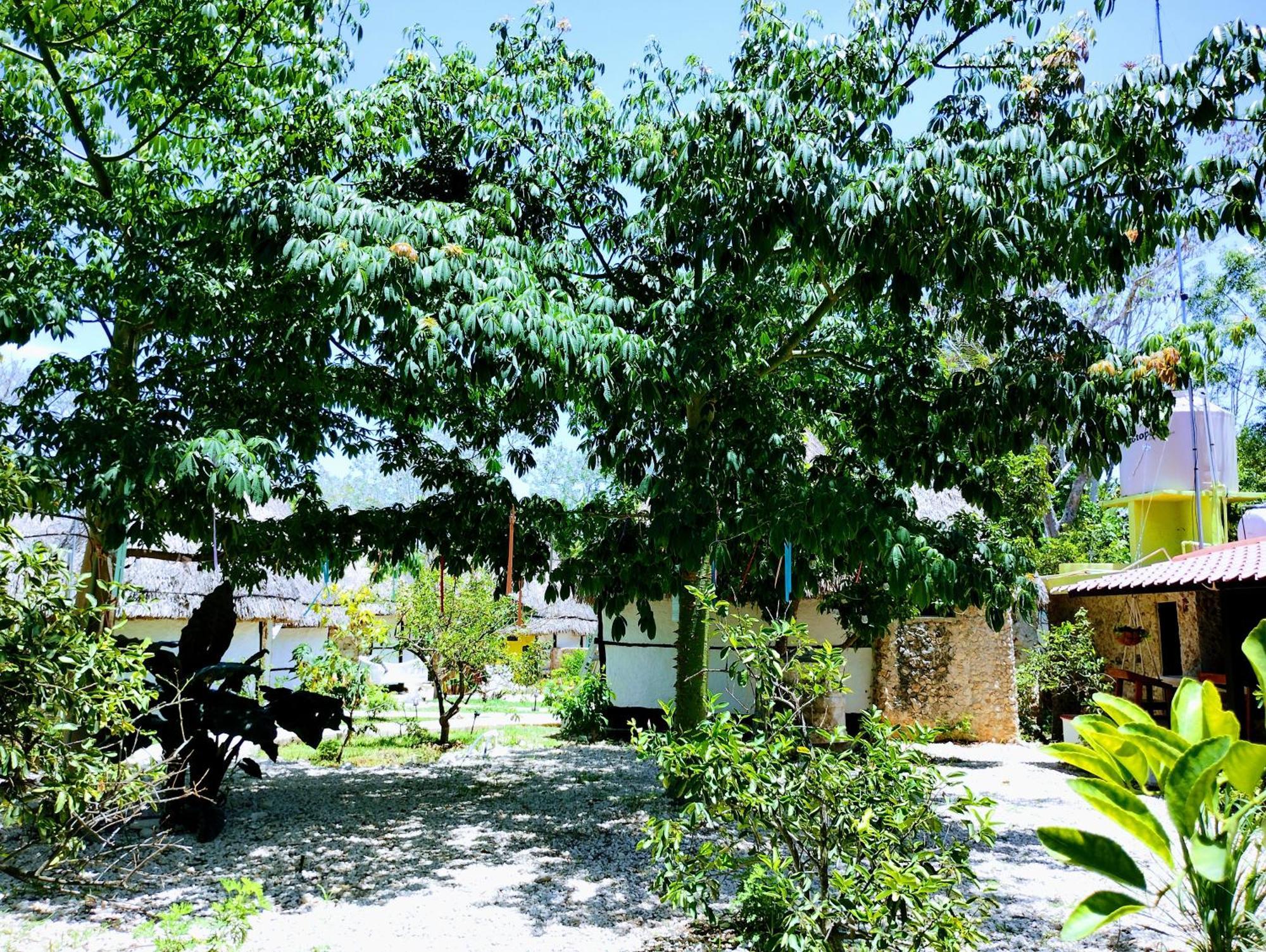 Y Museo Aldea Maya Toktli Origenes - Village, Alberca, Wifi Starlink, Tour Museo Hotel *