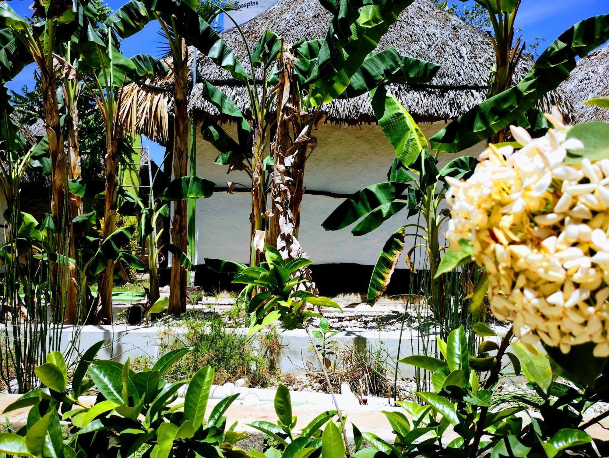 Hotel Y Museo Aldea Maya Toktli Origenes - Village, Alberca, Wifi Starlink, Tour Museo Izamal