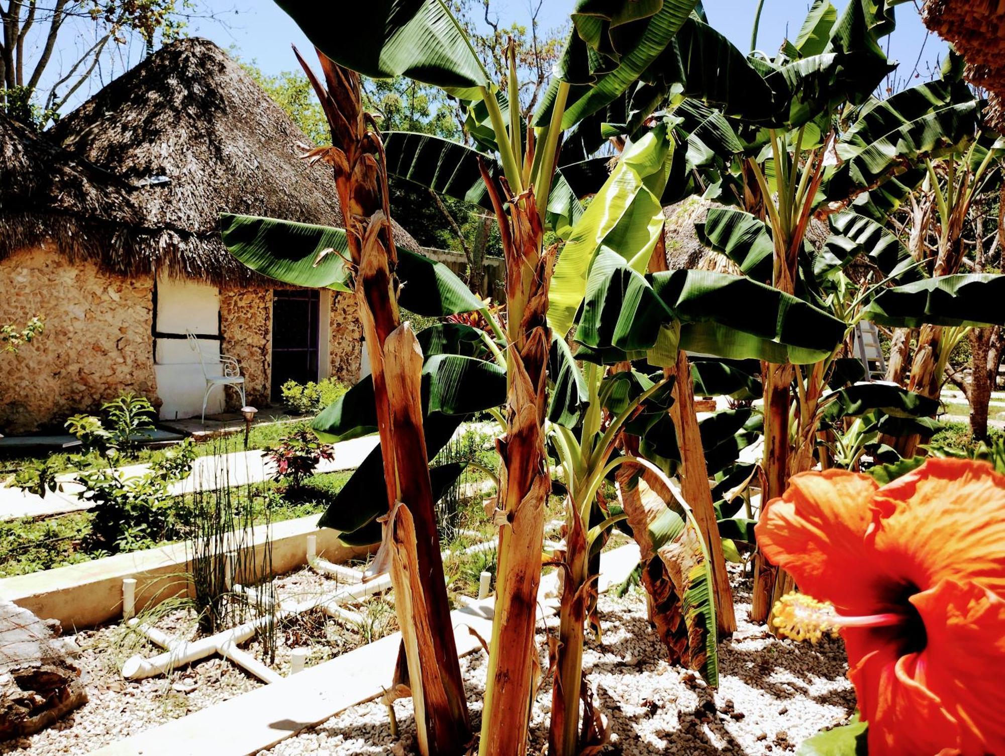 Y Museo Aldea Maya Toktli Origenes - Village, Alberca, Wifi Starlink, Tour Museo * Izamal