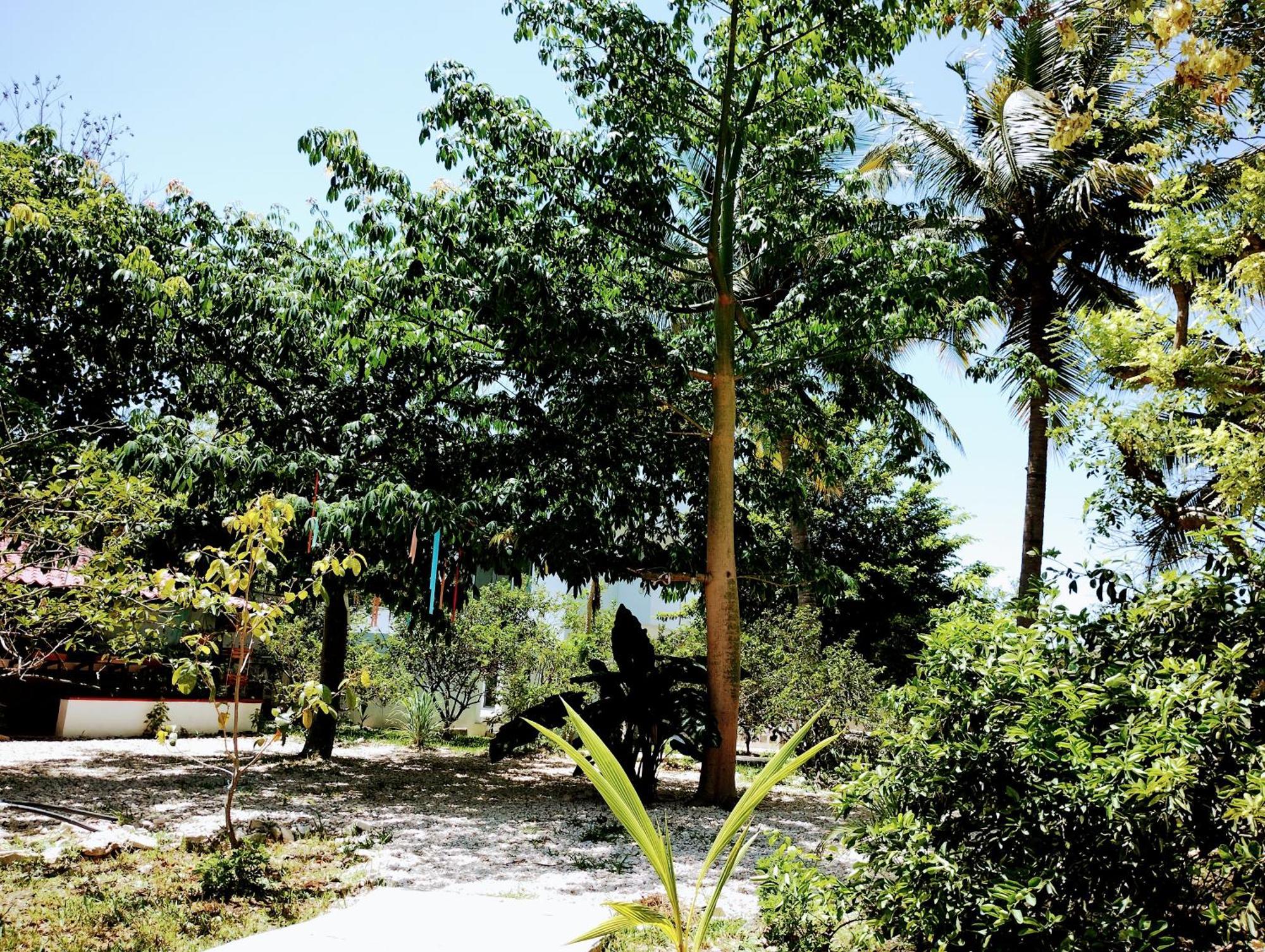 Y Museo Aldea Maya Toktli Origenes - Village, Alberca, Wifi Starlink, Tour Museo Hotel *