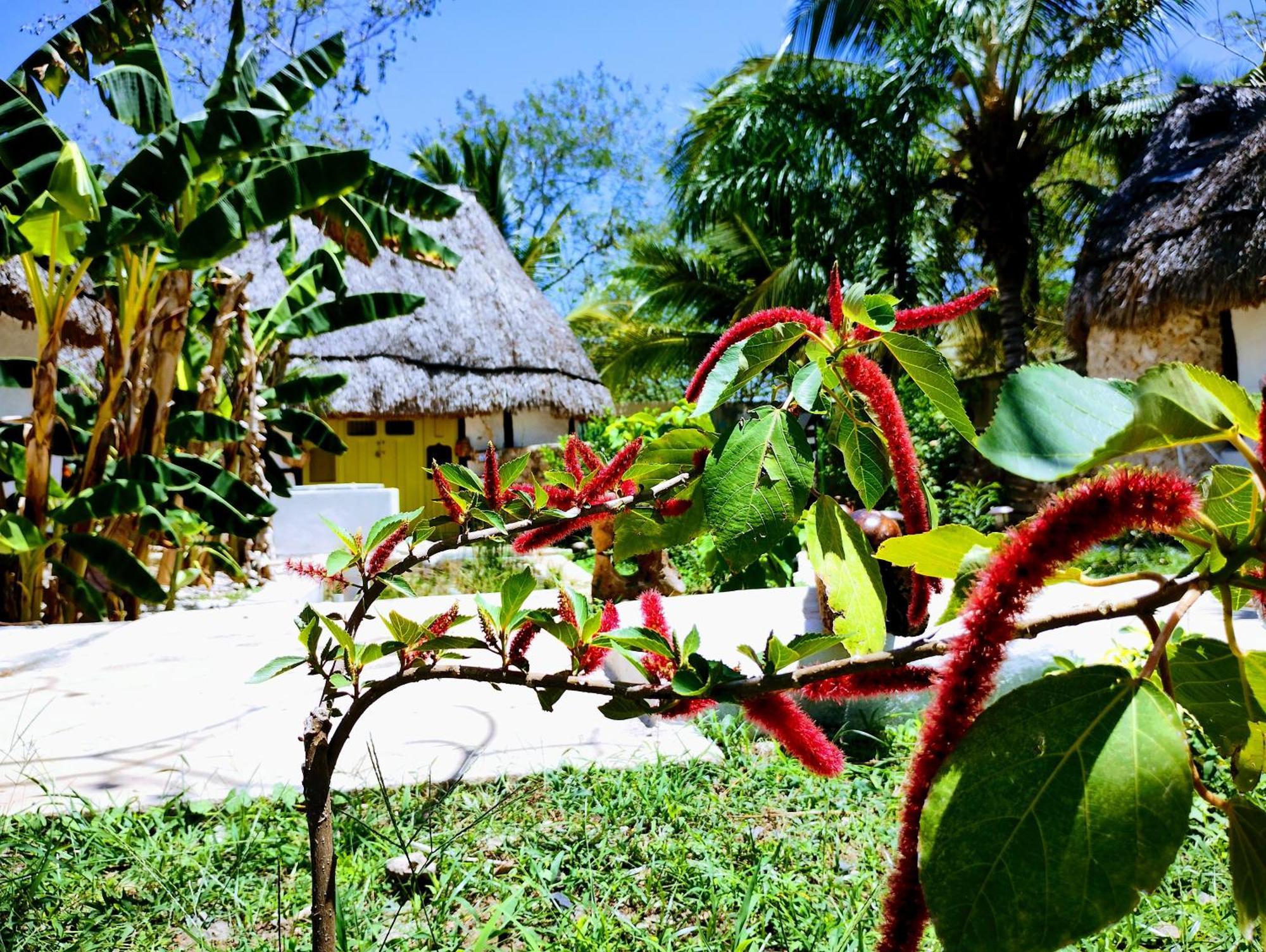 Hotel Y Museo Aldea Maya Toktli Origenes - Village, Alberca, Wifi Starlink, Tour Museo Izamal