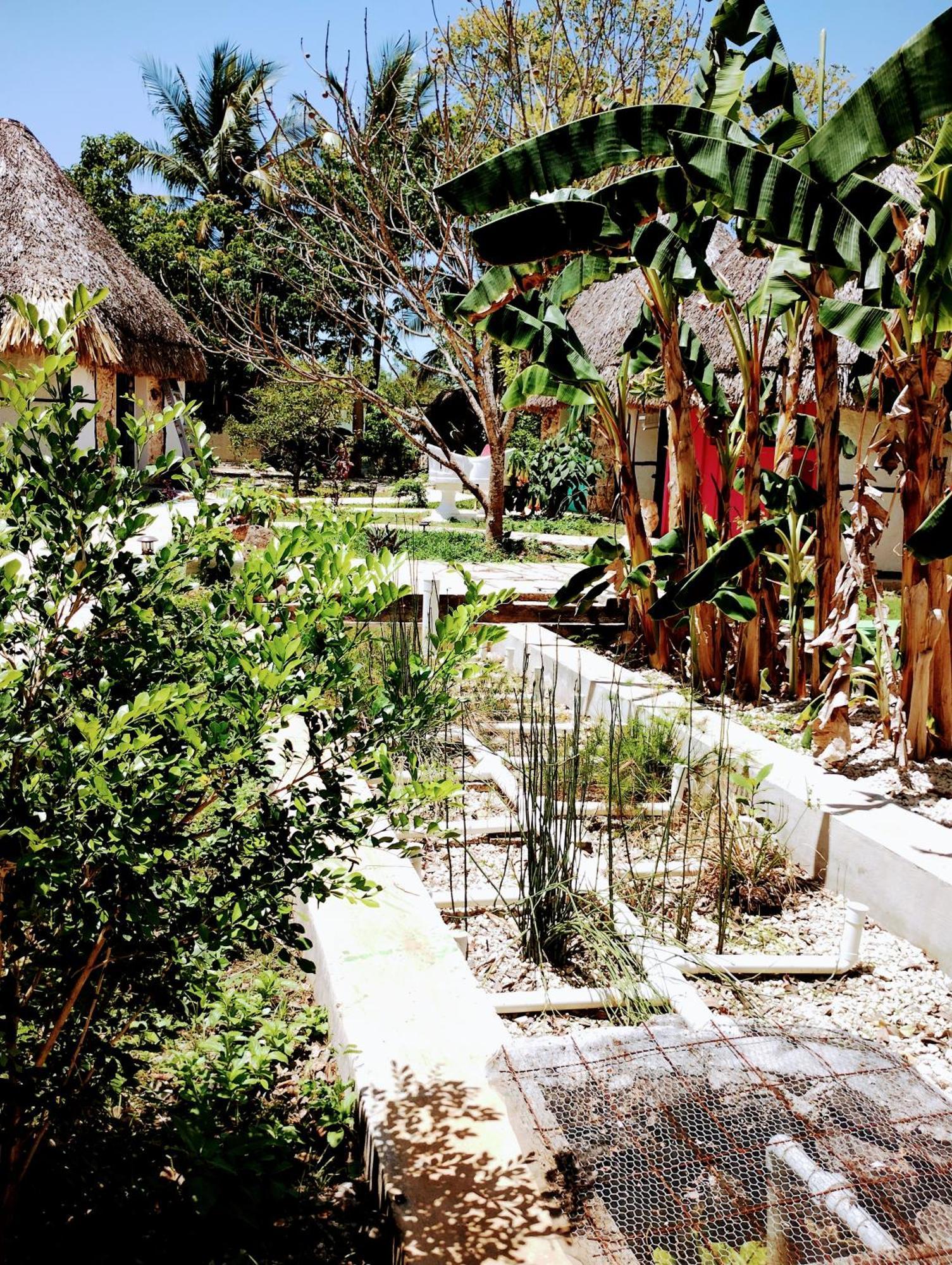 Y Museo Aldea Maya Toktli Origenes - Village, Alberca, Wifi Starlink, Tour Museo Hotel Izamal