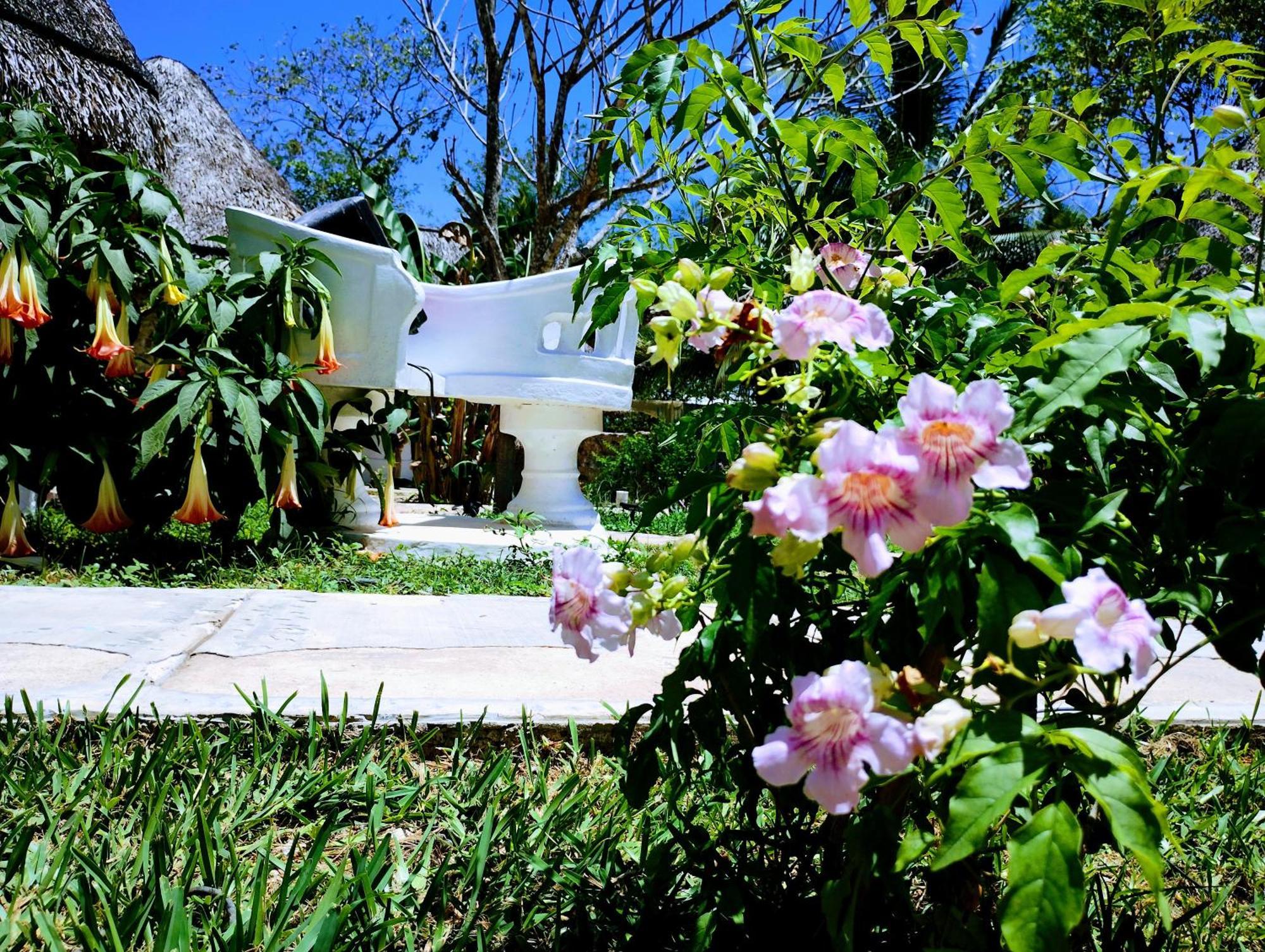 Hotel Y Museo Aldea Maya Toktli Origenes - Village, Alberca, Wifi Starlink, Tour Museo Izamal
