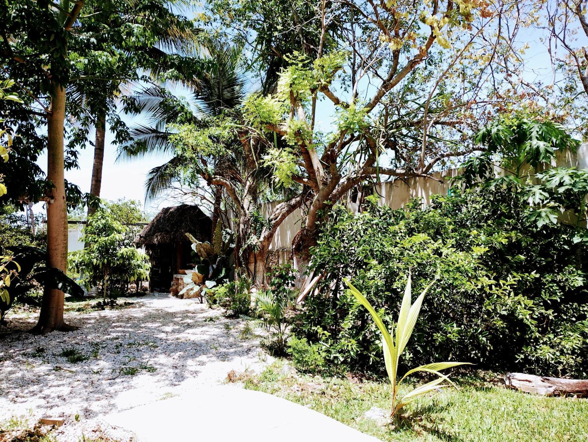 Y Museo Aldea Maya Toktli Origenes - Village, Alberca, Wifi Starlink, Tour Museo Hotel