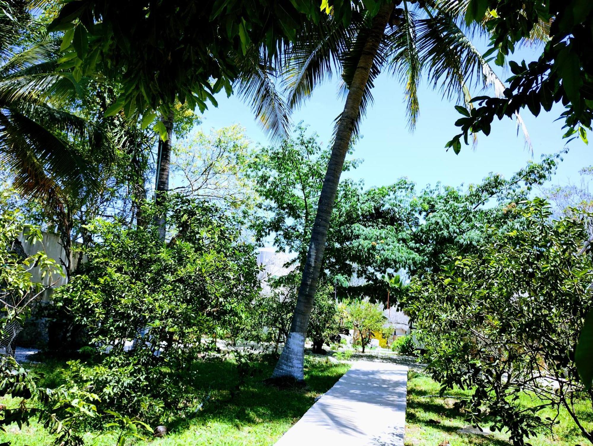 Y Museo Aldea Maya Toktli Origenes - Village, Alberca, Wifi Starlink, Tour Museo Izamal
