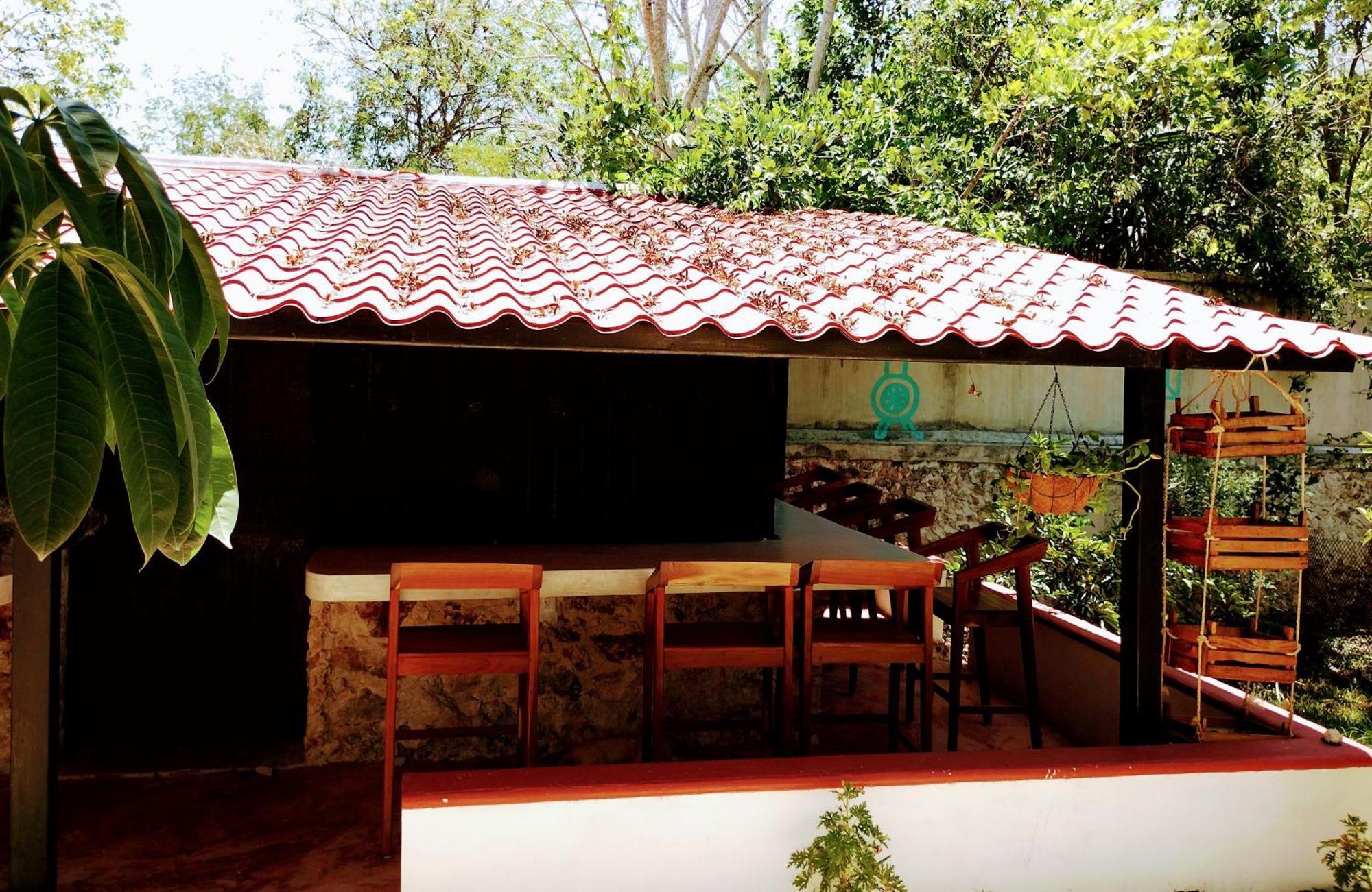 Hotel Y Museo Aldea Maya Toktli Origenes - Village, Alberca, Wifi Starlink, Tour Museo *