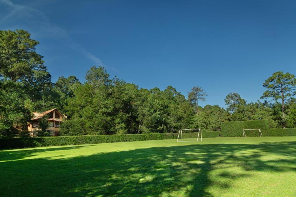Bosque Escondido