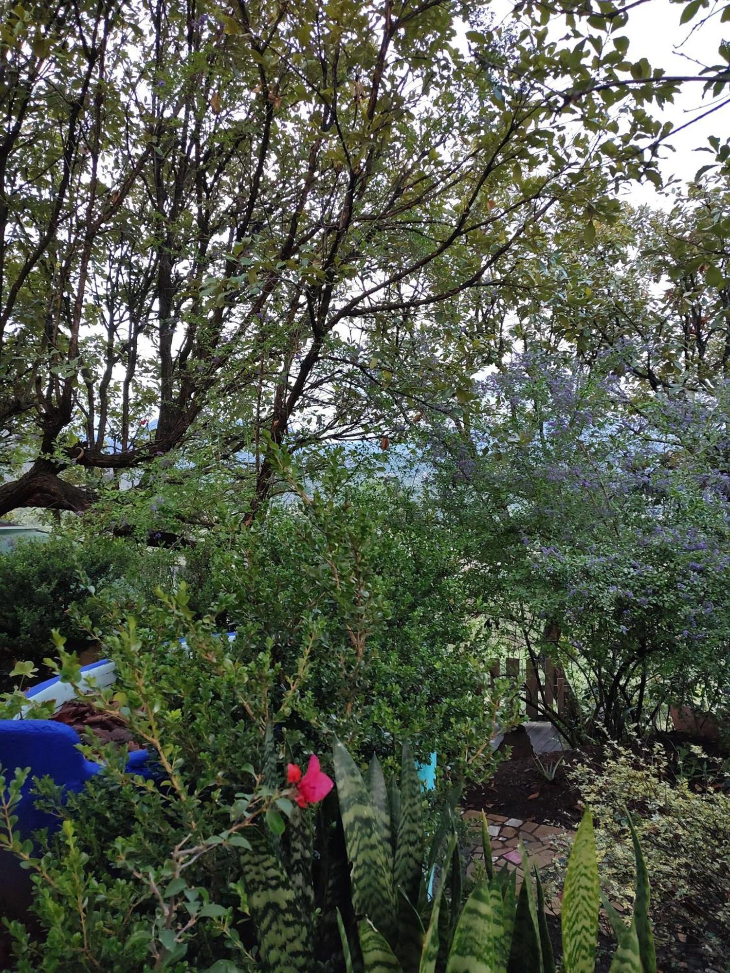 El Encinal De Flores Lodge