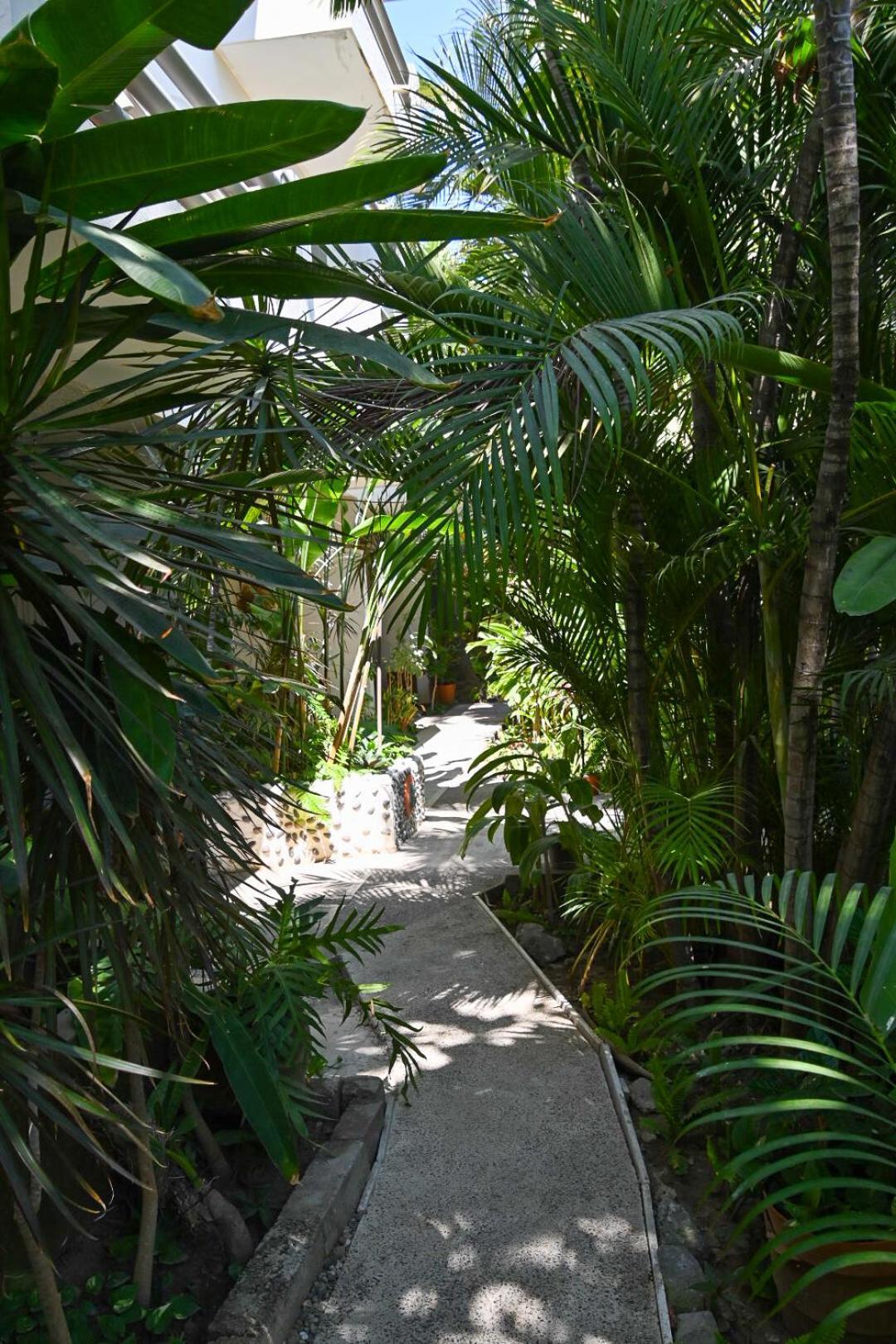 Hotel Palmeras