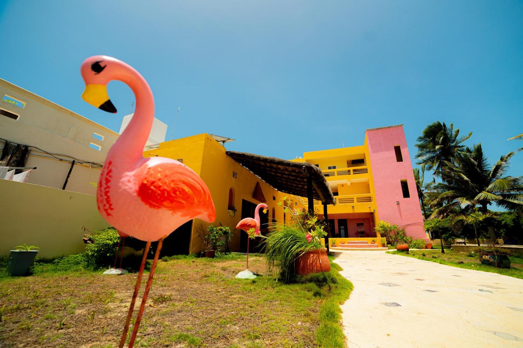Flamingos Chuburna