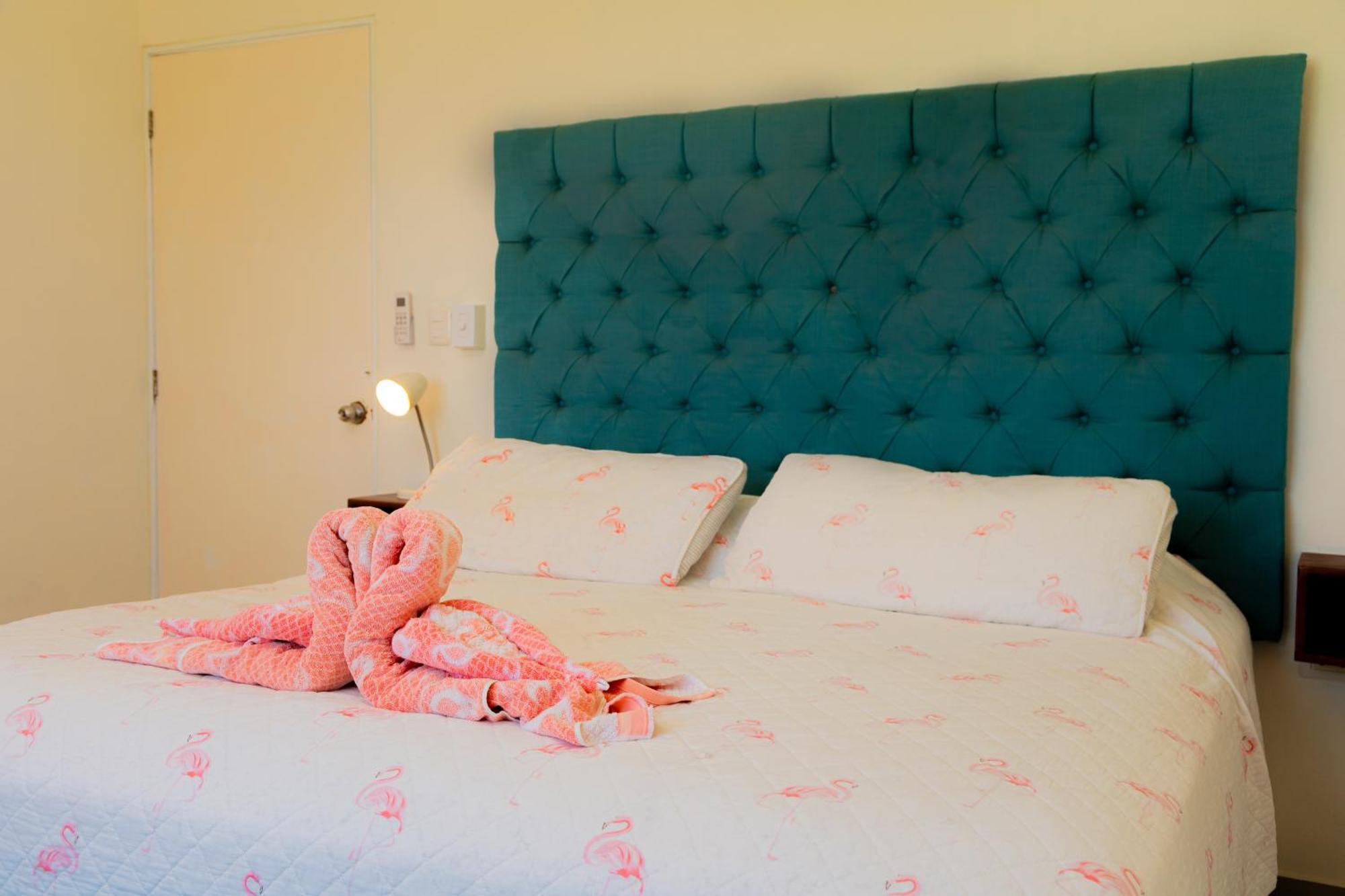 Flamingos