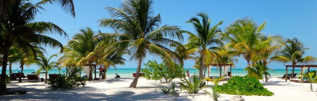 Hotel El Corazon Boutique - Adults Only With Club Pass Included