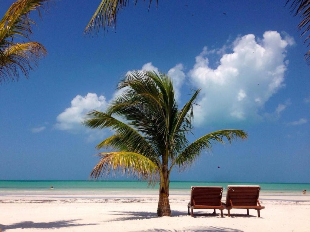 El Corazon Boutique - Adults Only With Club Pass Included Hotel