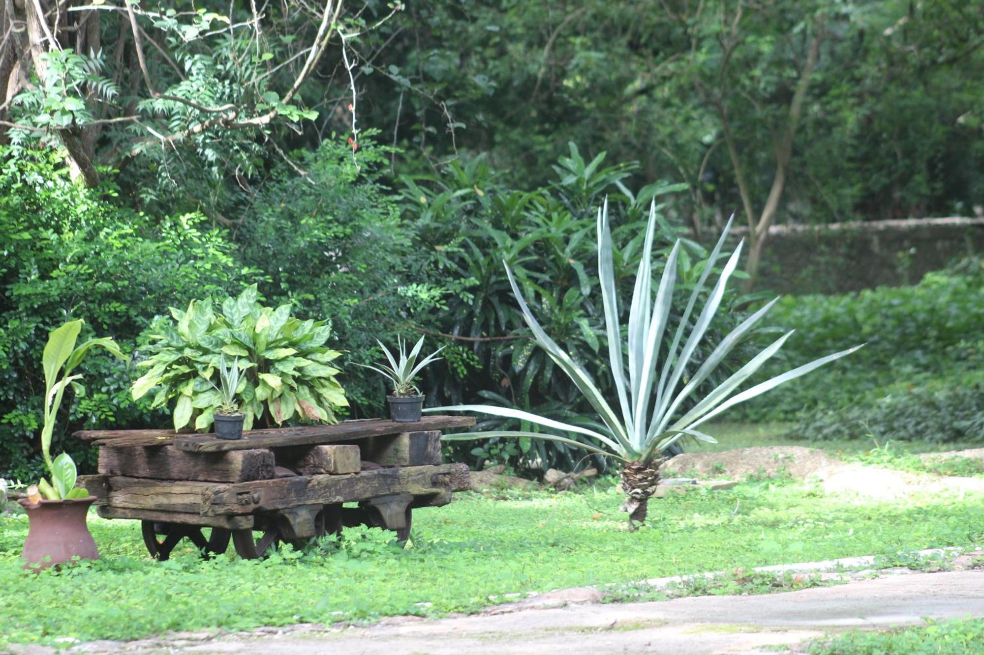Hacienda San Jose Cholul Tixkokob