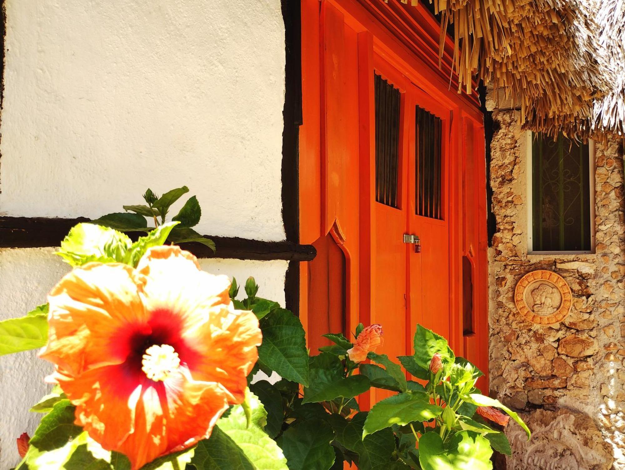 Y Museo Aldea Maya Toktli Origenes - Village, Alberca, Wifi Starlink, Tour Museo Hotel *