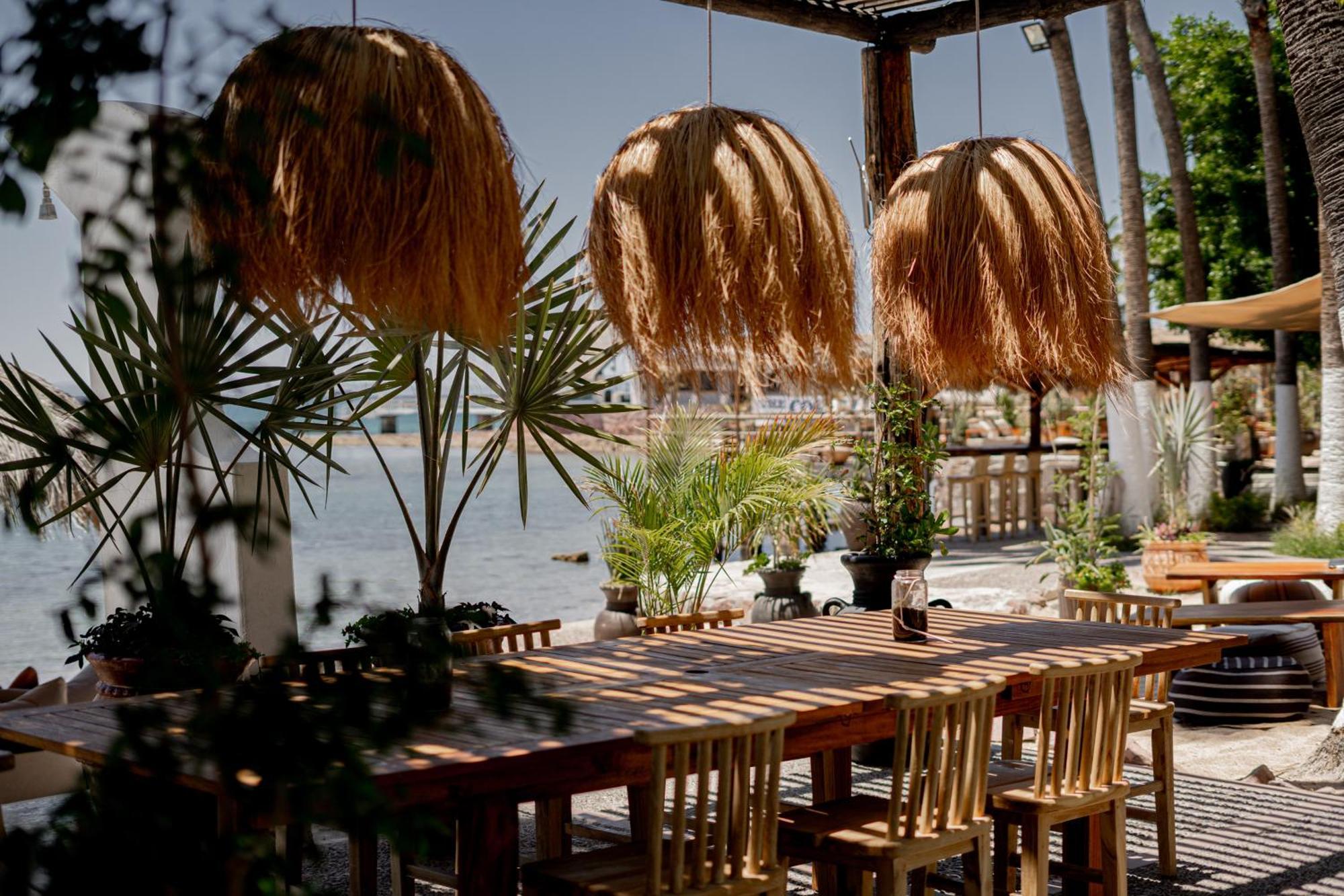 Hotel La Concha & Club 4*