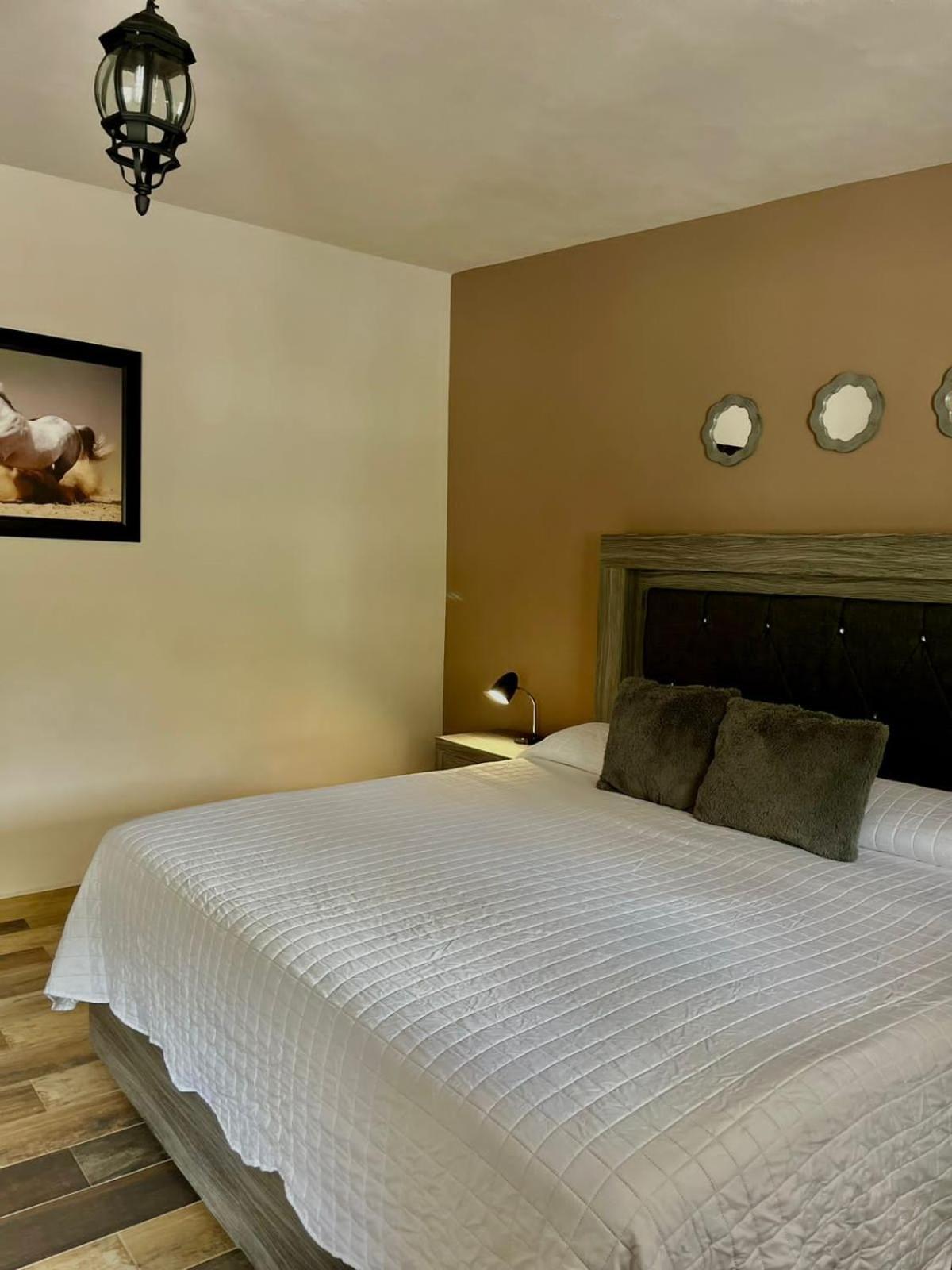 Cabanas, Suites Y Habitaciones Rancho San Jorge