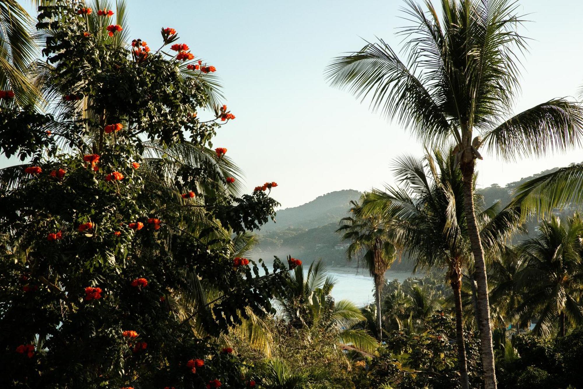 Hotel 88 - Boutique Only Adults Sayulita