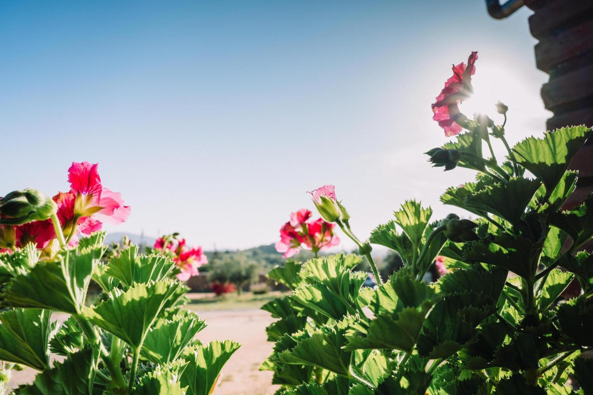 Quinta Sofia (adults Only) * Valle de Guadalupe