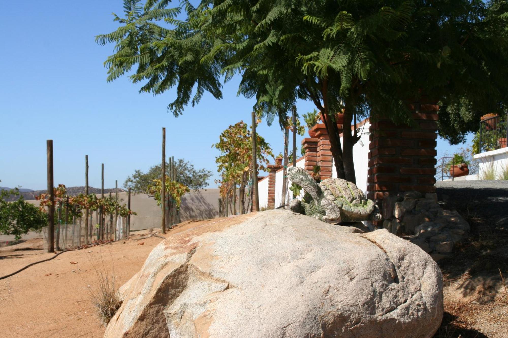 Quinta Sofia (adults Only) Villa Valle de Guadalupe