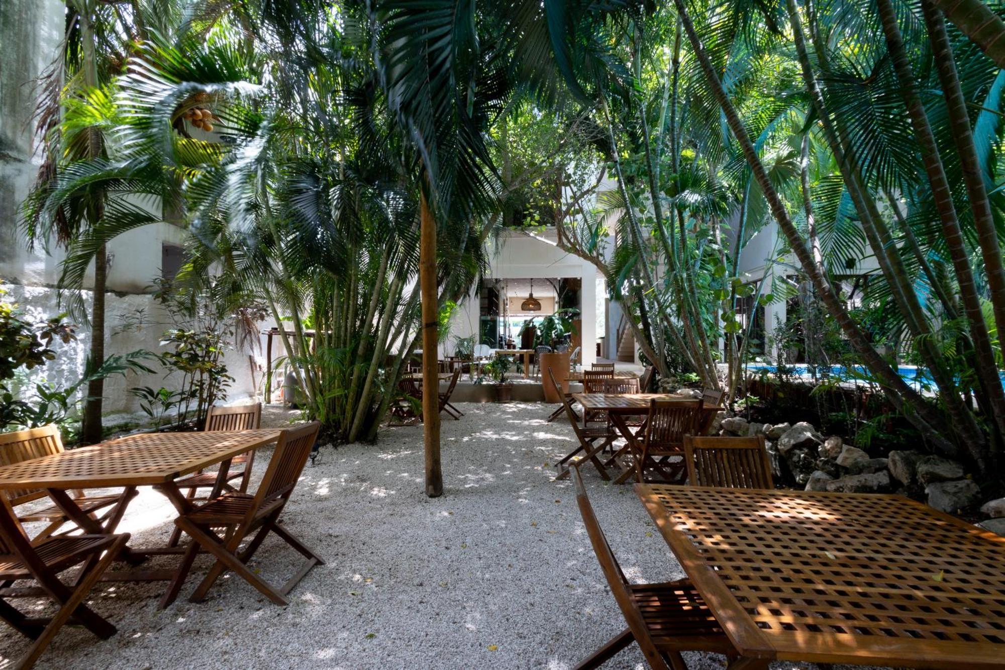 Casa Barbara Isla Holbox