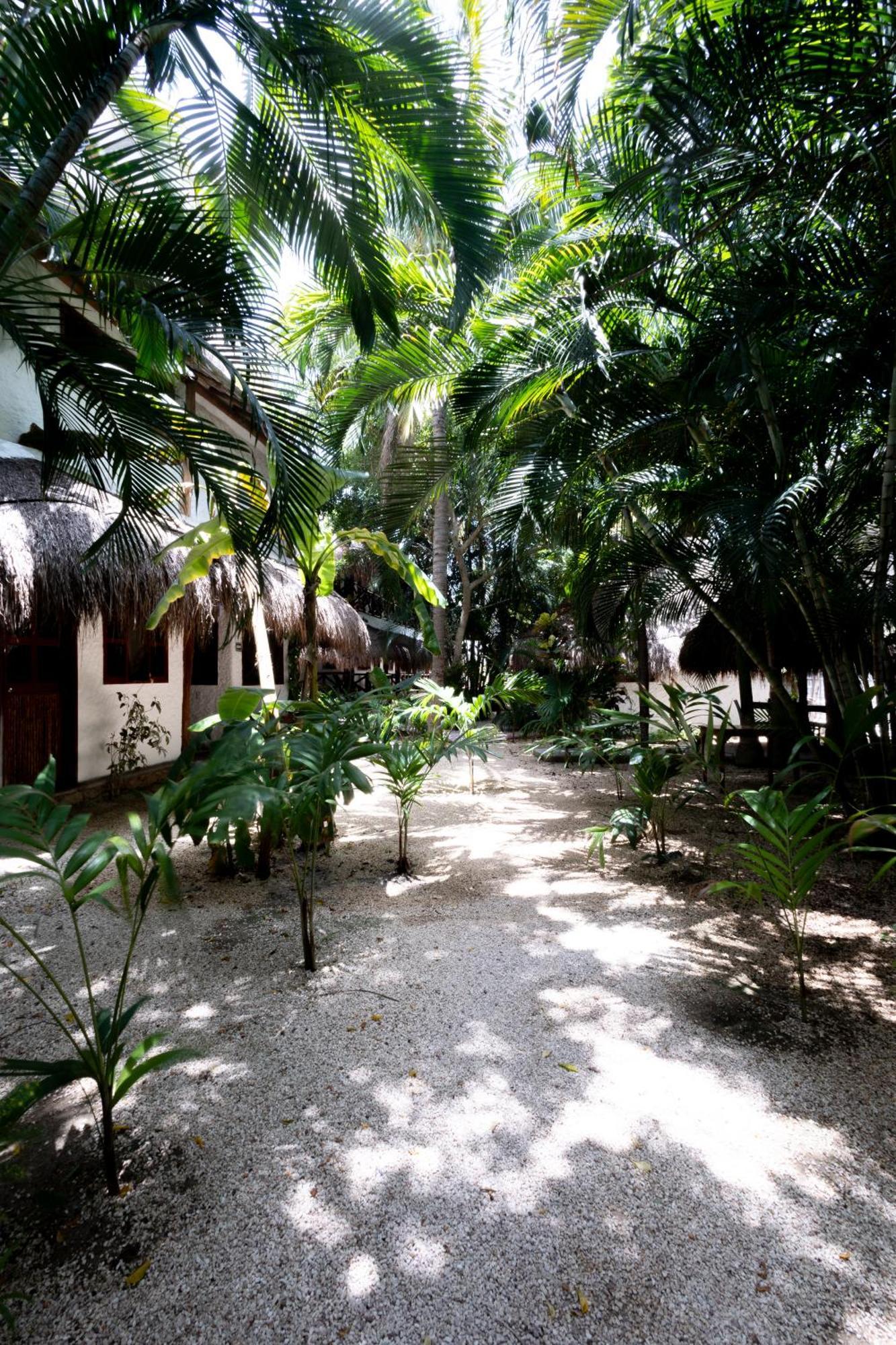 Casa Barbara