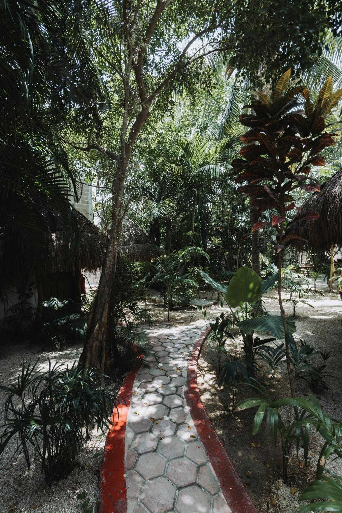 Casa Barbara Hotel Isla Holbox