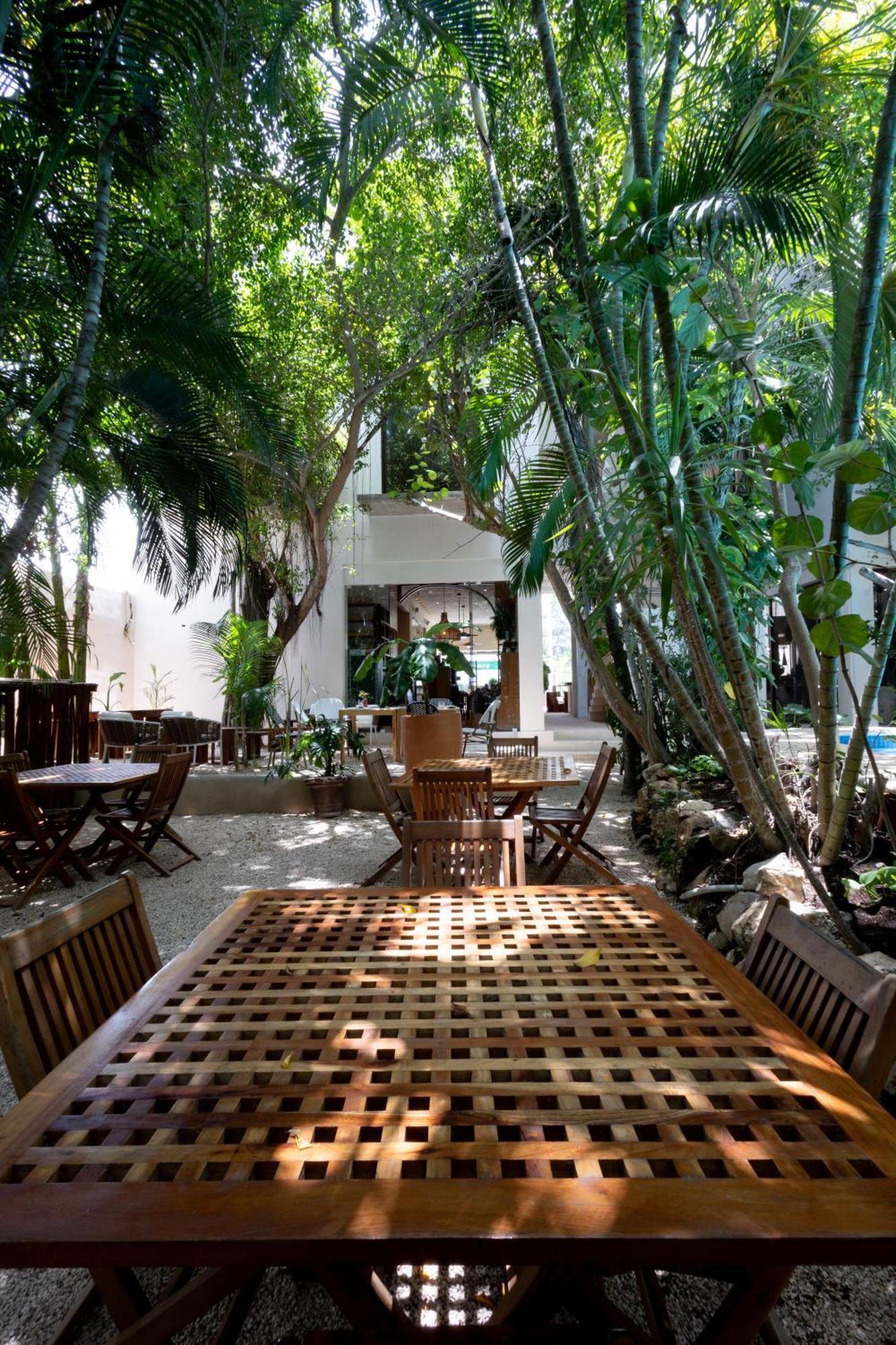 Casa Barbara Isla Holbox