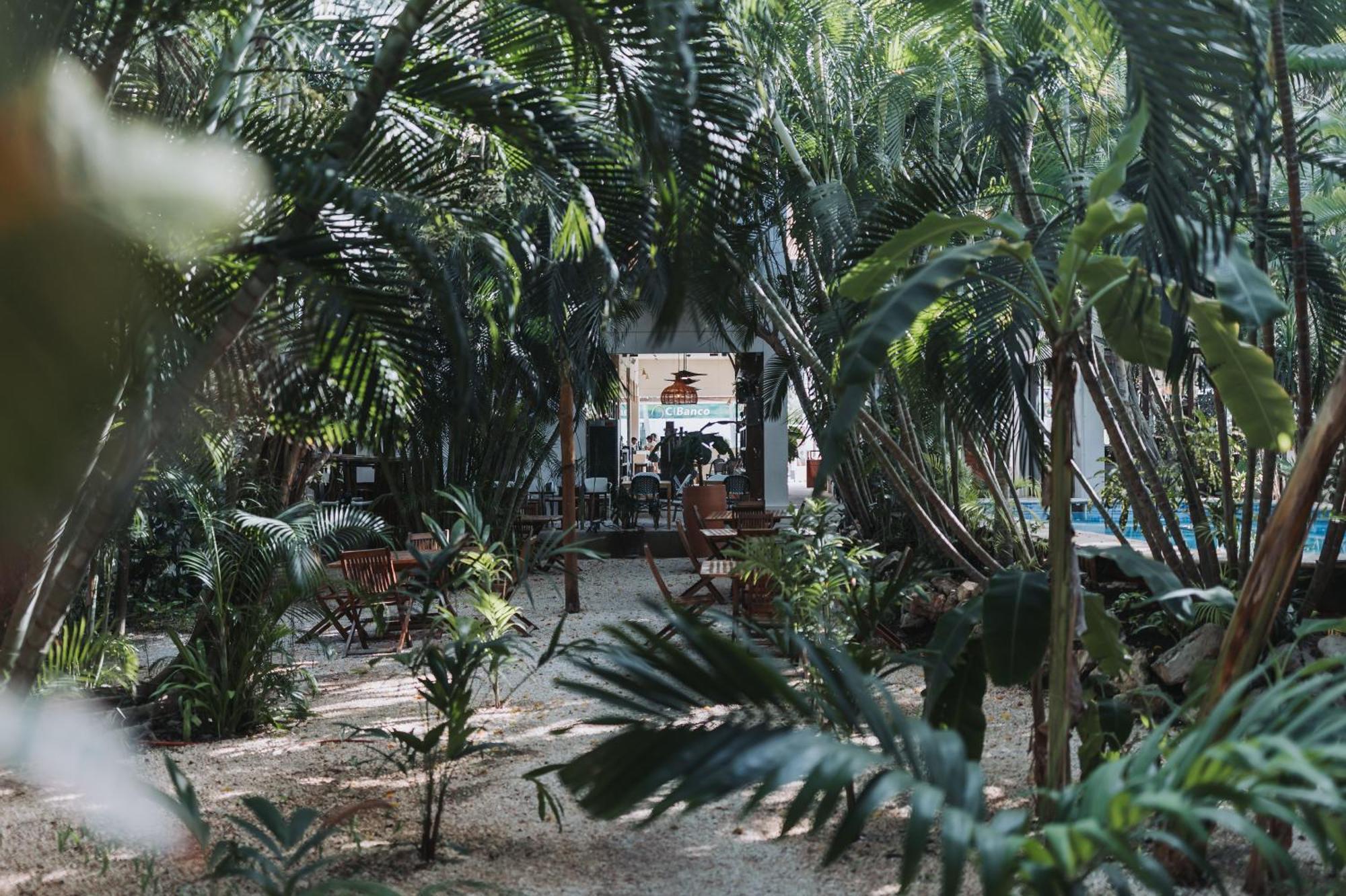 Casa Barbara Hotel
