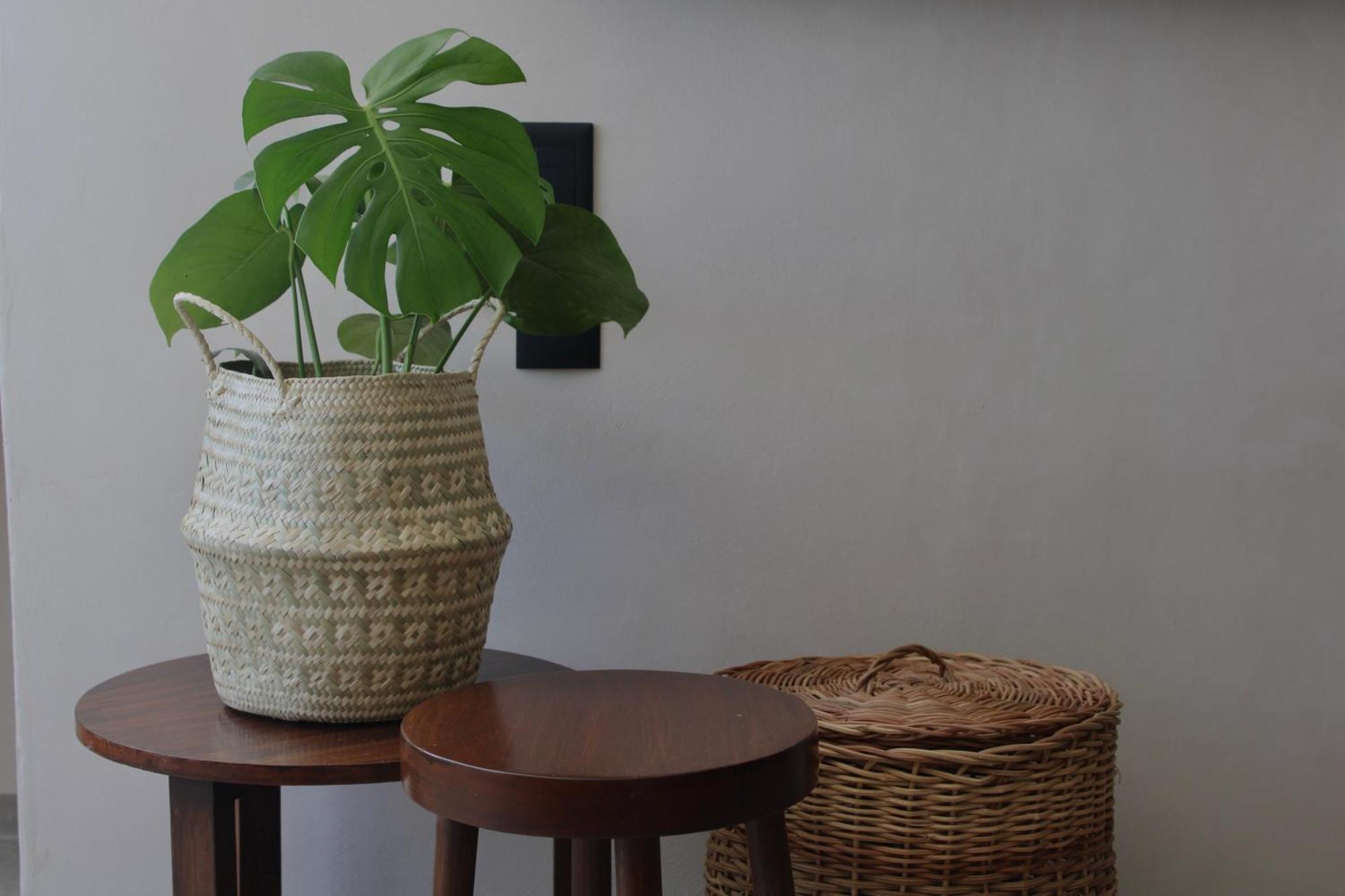 Lua Boutique Apartment