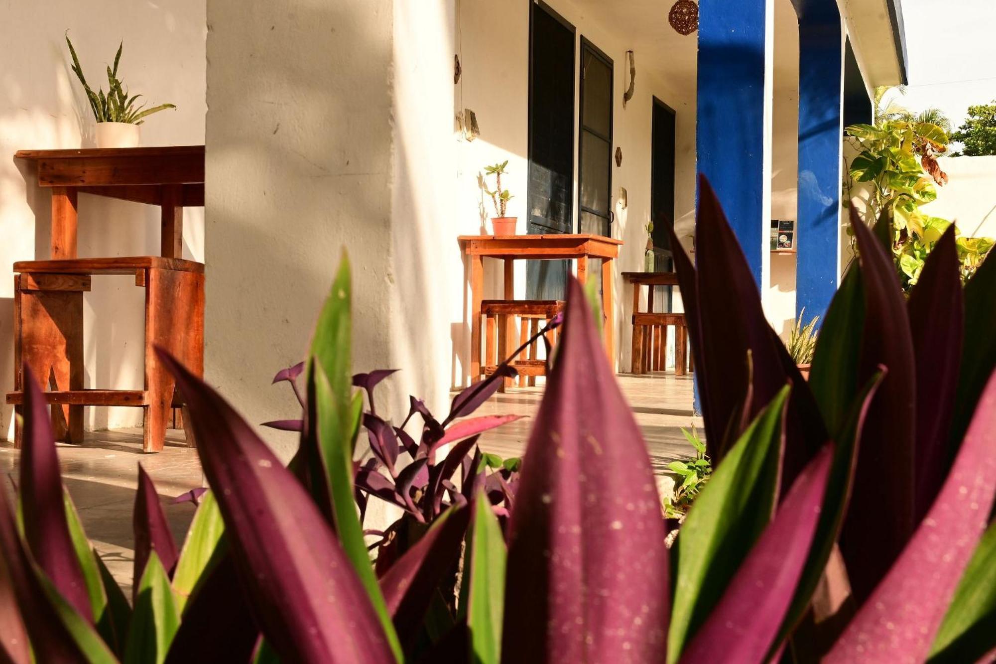 Nido Wellness Center Resort