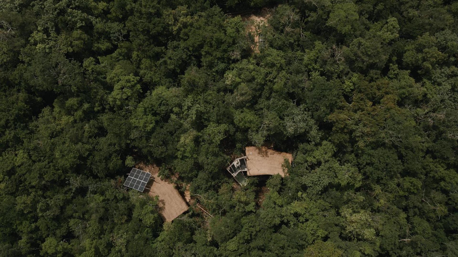 Villa Ojo De Arbol, Boutique In The Real Jungle