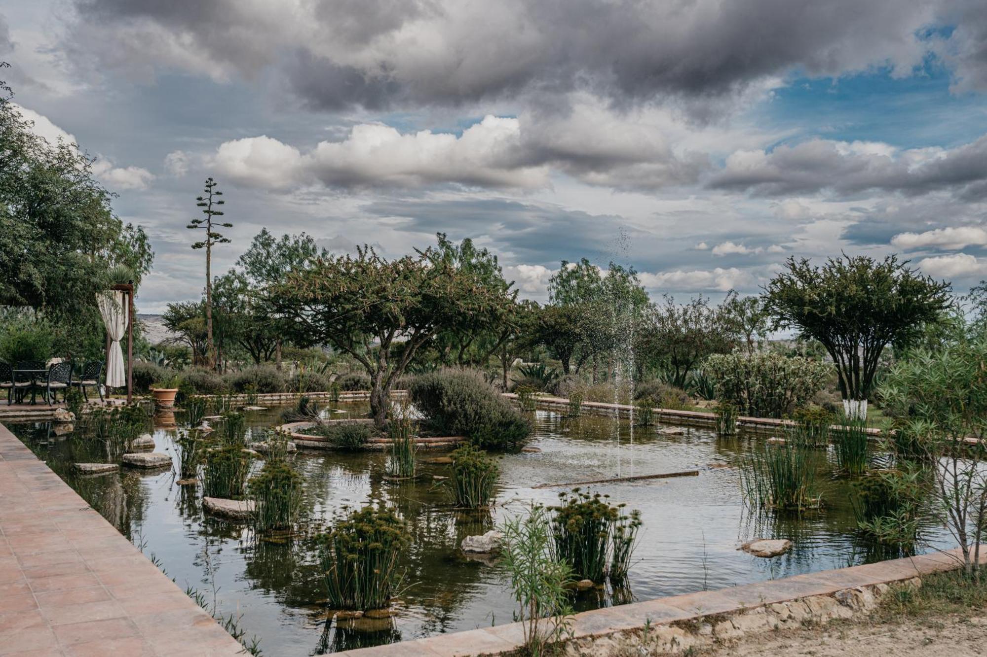Mineral Del Cielo Pozos (Guanajuato)